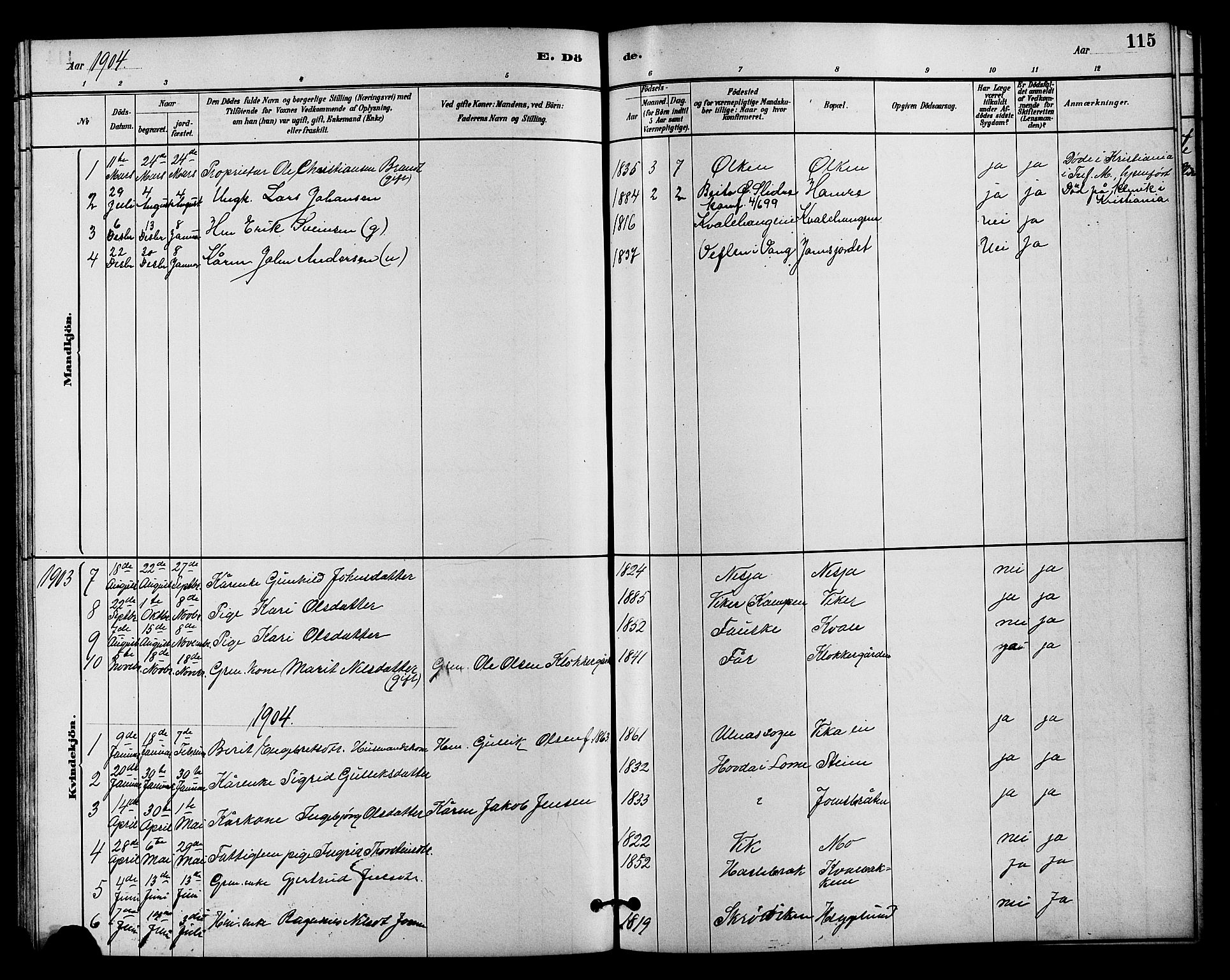 Vestre Slidre prestekontor, SAH/PREST-136/H/Ha/Hab/L0004: Parish register (copy) no. 4, 1881-1912, p. 115