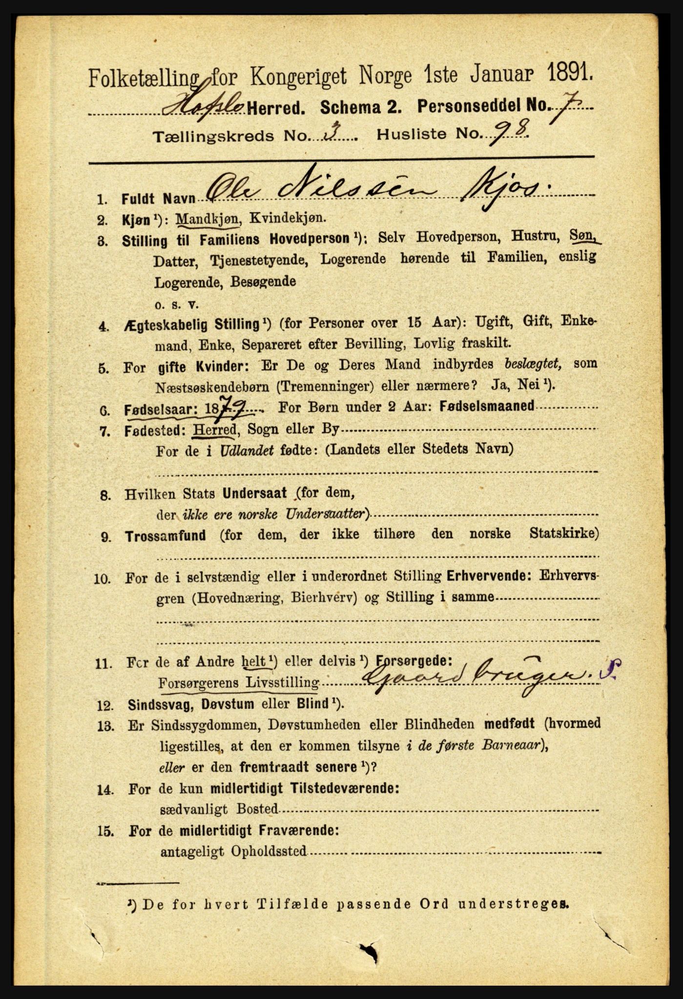 RA, 1891 census for 1425 Hafslo, 1891, p. 1510