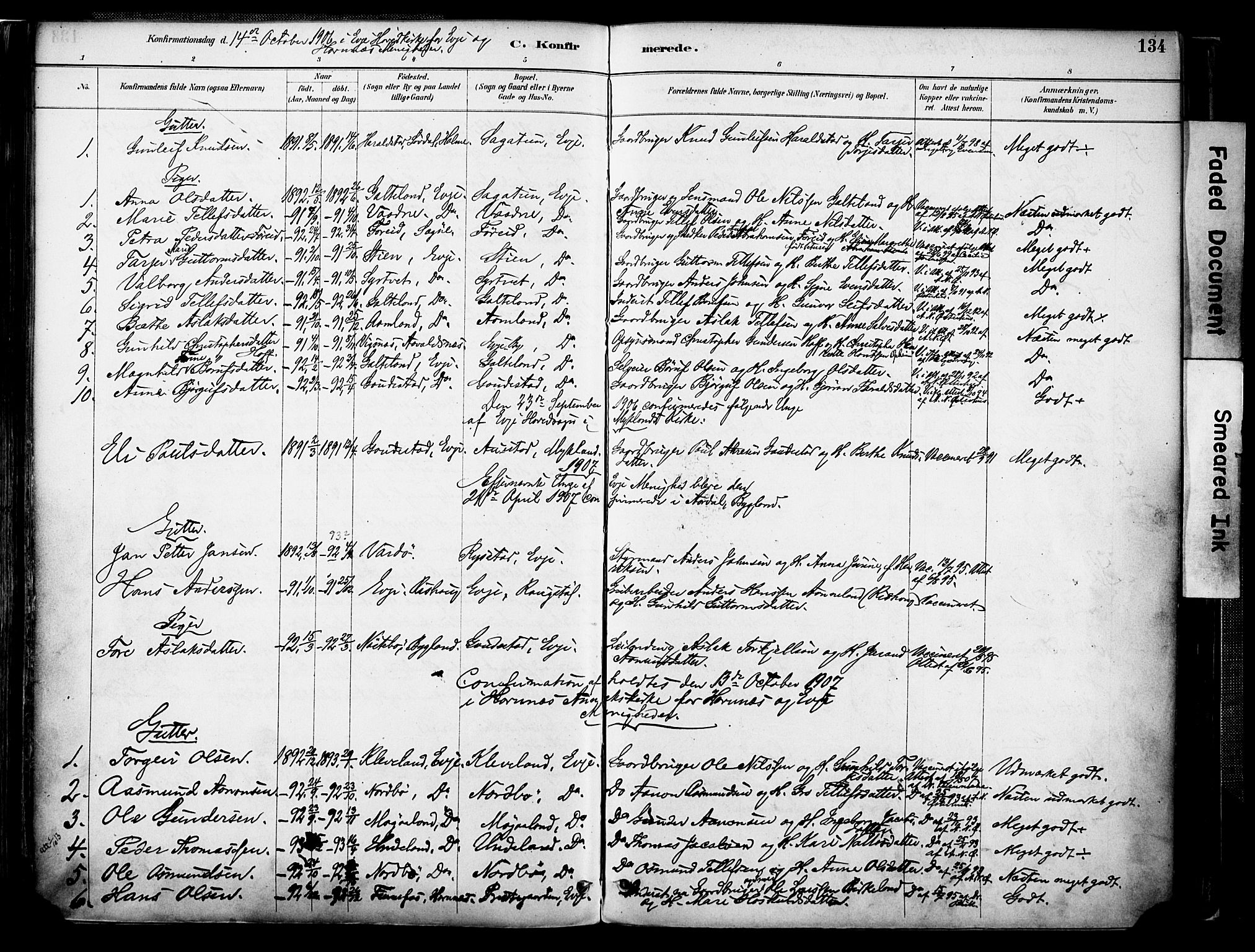 Evje sokneprestkontor, AV/SAK-1111-0008/F/Fa/Faa/L0007: Parish register (official) no. A 7, 1884-1909, p. 134