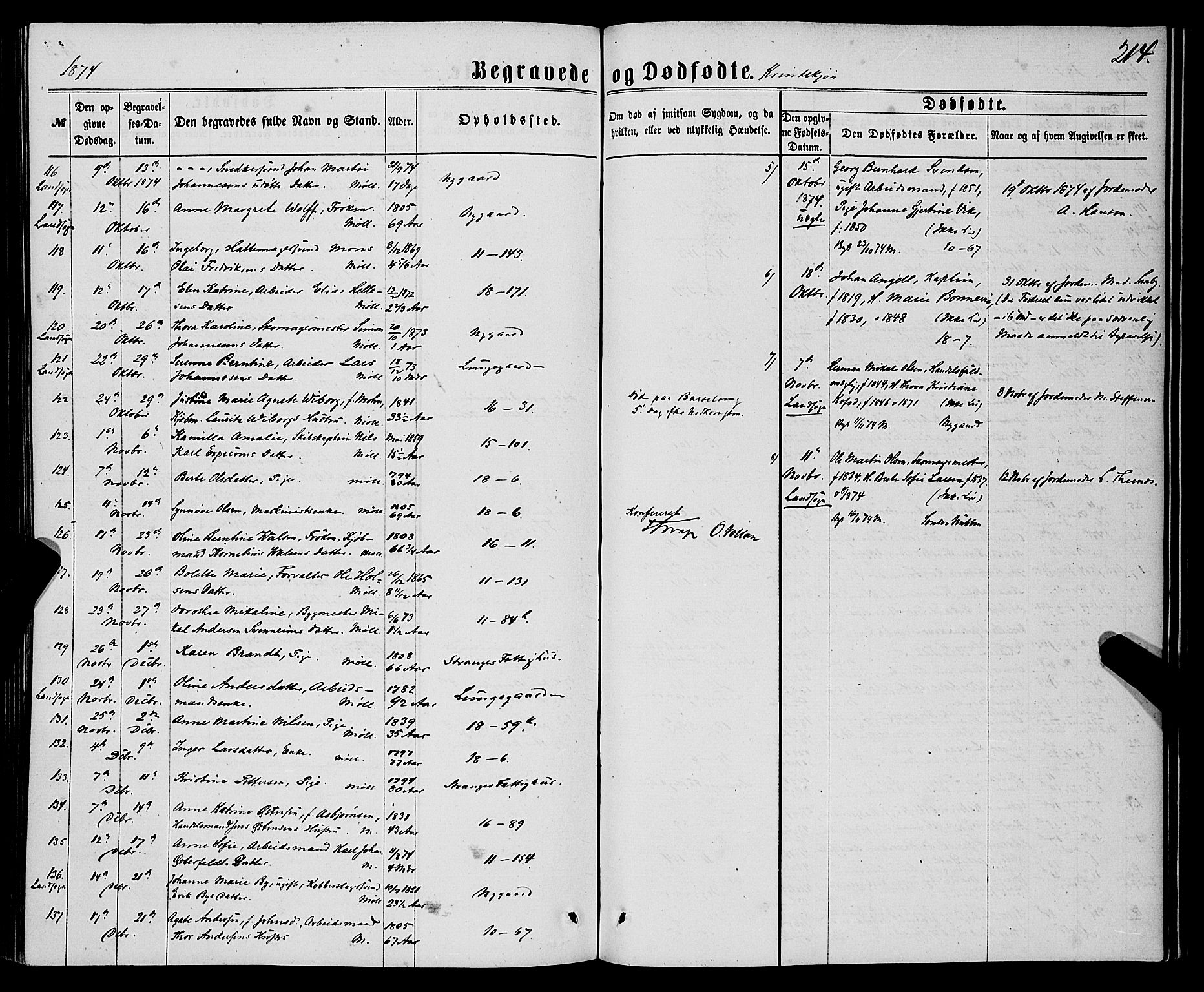 Domkirken sokneprestembete, AV/SAB-A-74801/H/Haa/L0042: Parish register (official) no. E 3, 1863-1876, p. 214