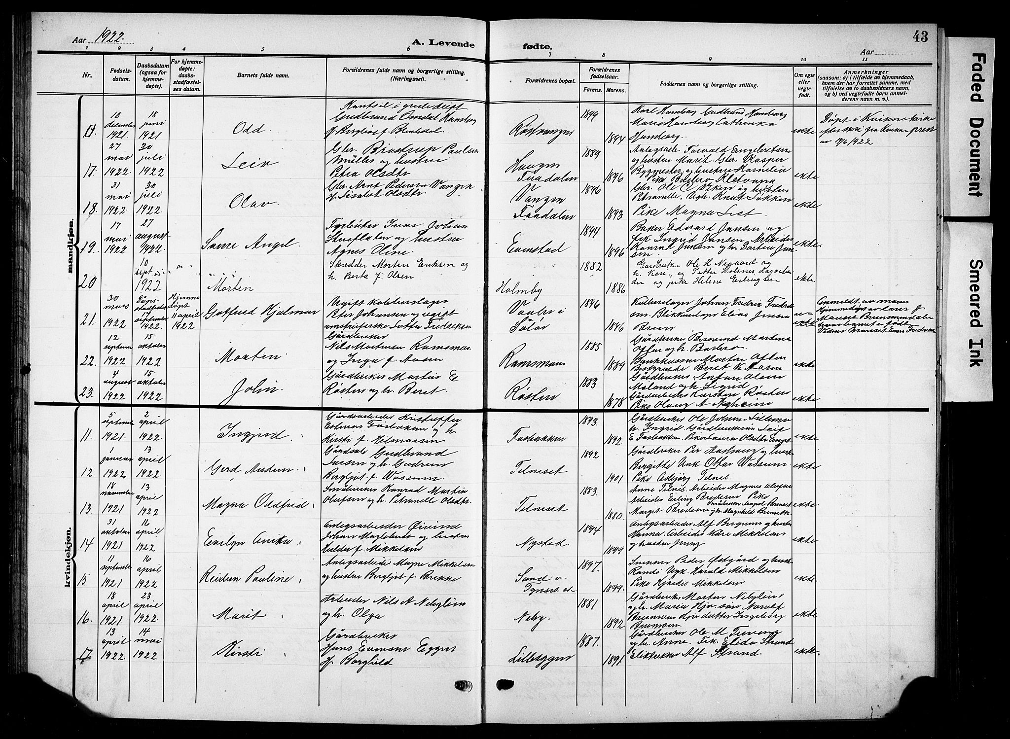 Tynset prestekontor, AV/SAH-PREST-058/H/Ha/Hab/L0011: Parish register (copy) no. 11, 1915-1930, p. 43