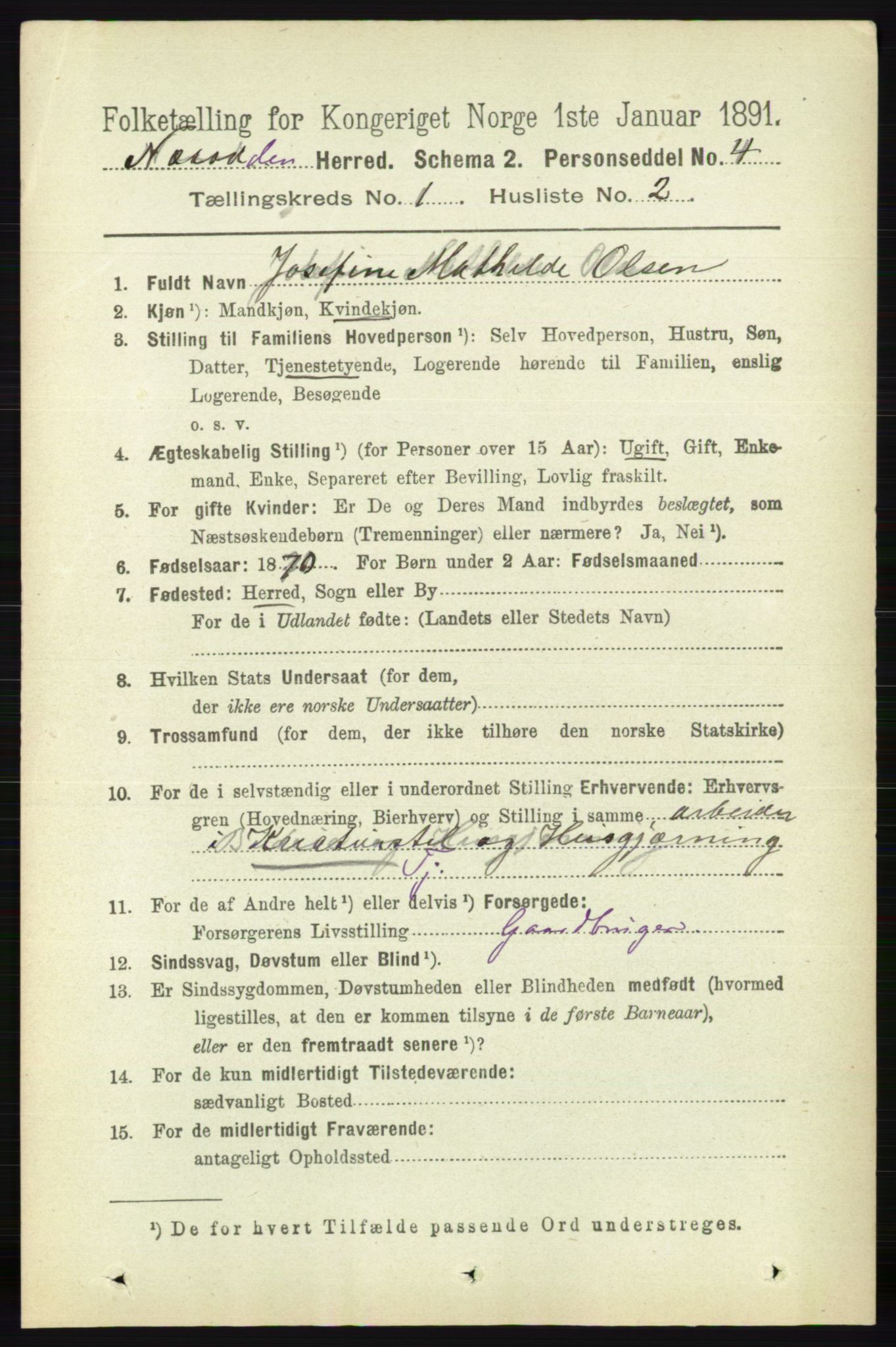 RA, 1891 census for 0216 Nesodden, 1891, p. 101