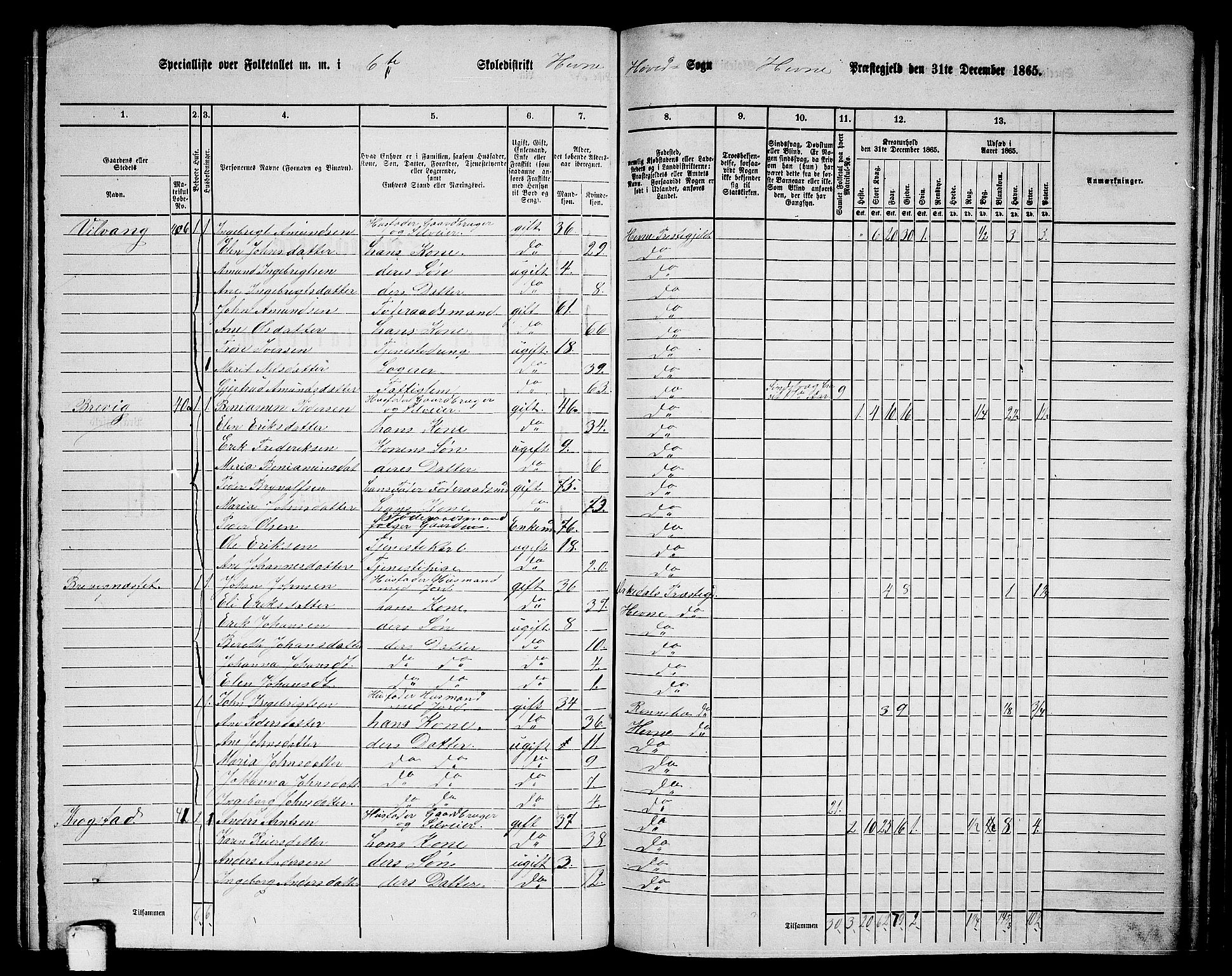 RA, 1865 census for Hemne, 1865, p. 126