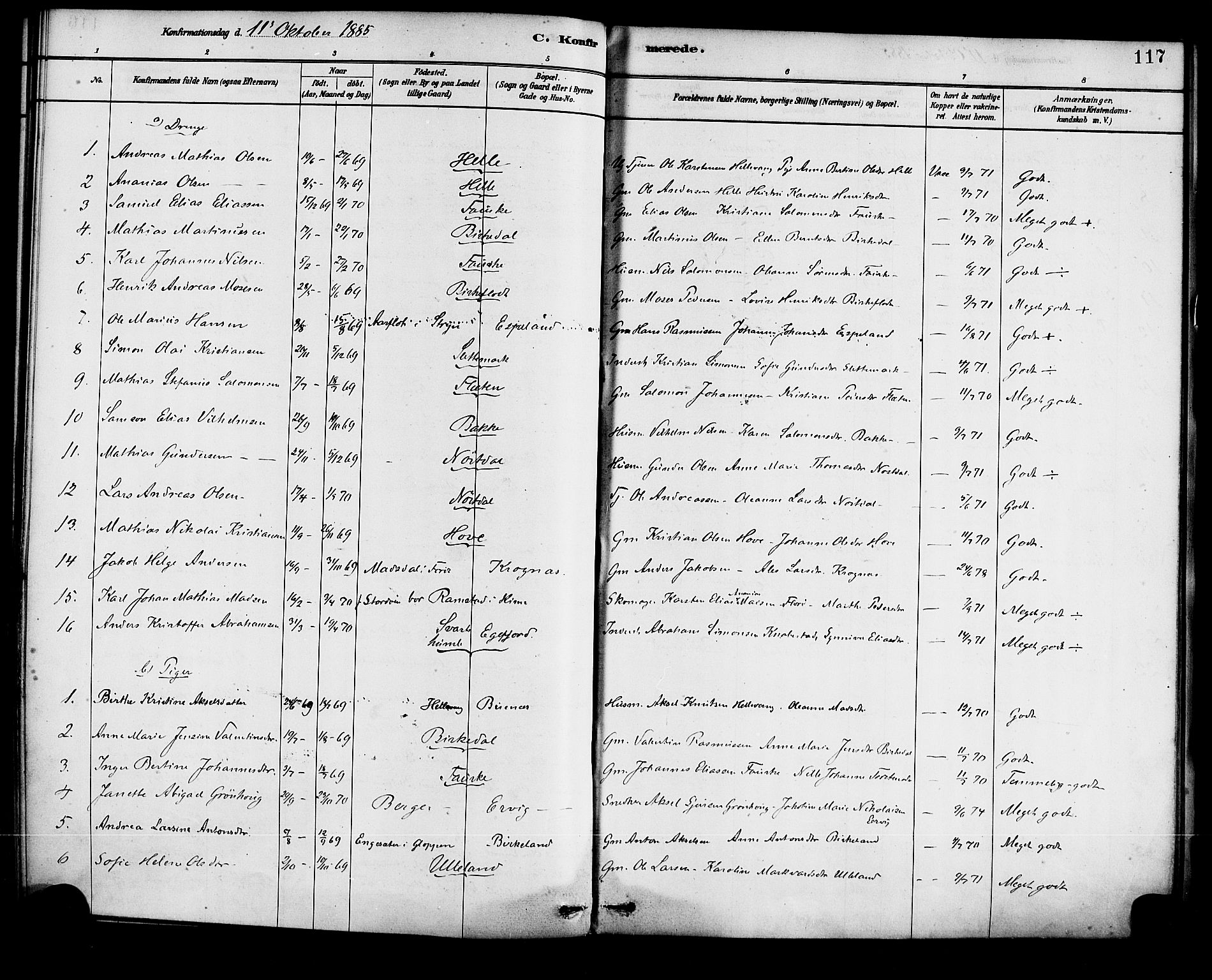 Førde sokneprestembete, SAB/A-79901/H/Haa/Haad/L0001: Parish register (official) no. D 1, 1881-1898, p. 117
