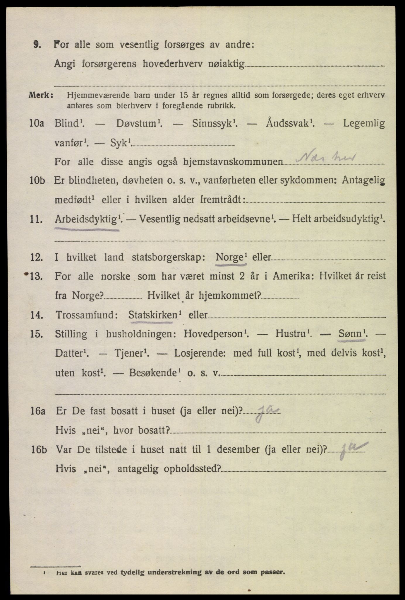 SAK, 1920 census for Nes (V-A), 1920, p. 4841