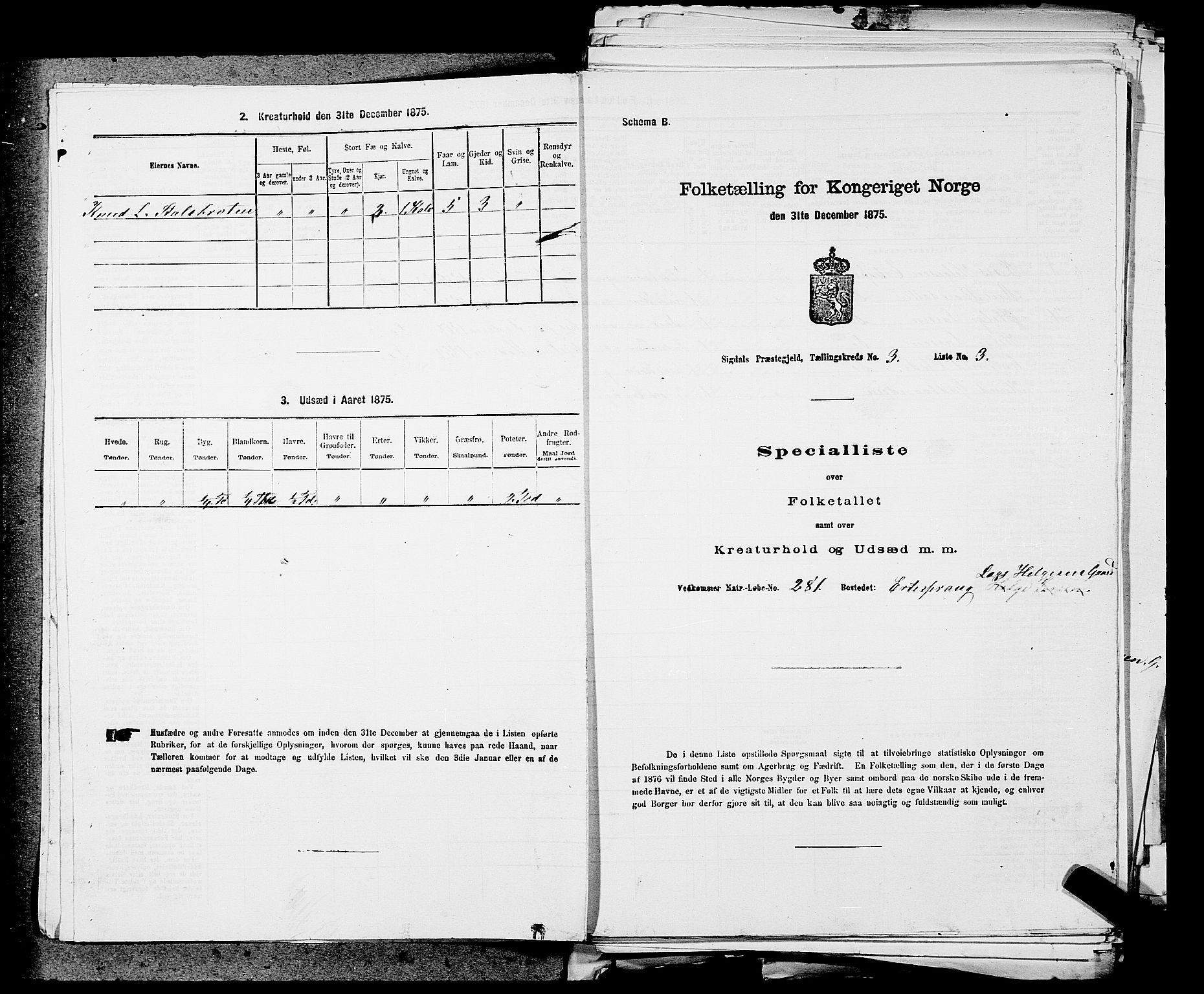 SAKO, 1875 census for 0621P Sigdal, 1875, p. 2137