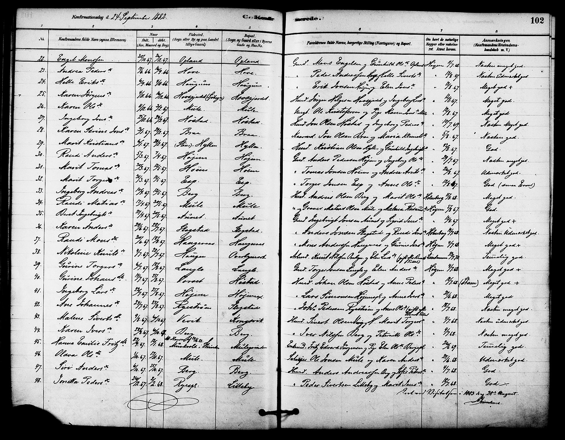 Ministerialprotokoller, klokkerbøker og fødselsregistre - Sør-Trøndelag, SAT/A-1456/612/L0378: Parish register (official) no. 612A10, 1878-1897, p. 102