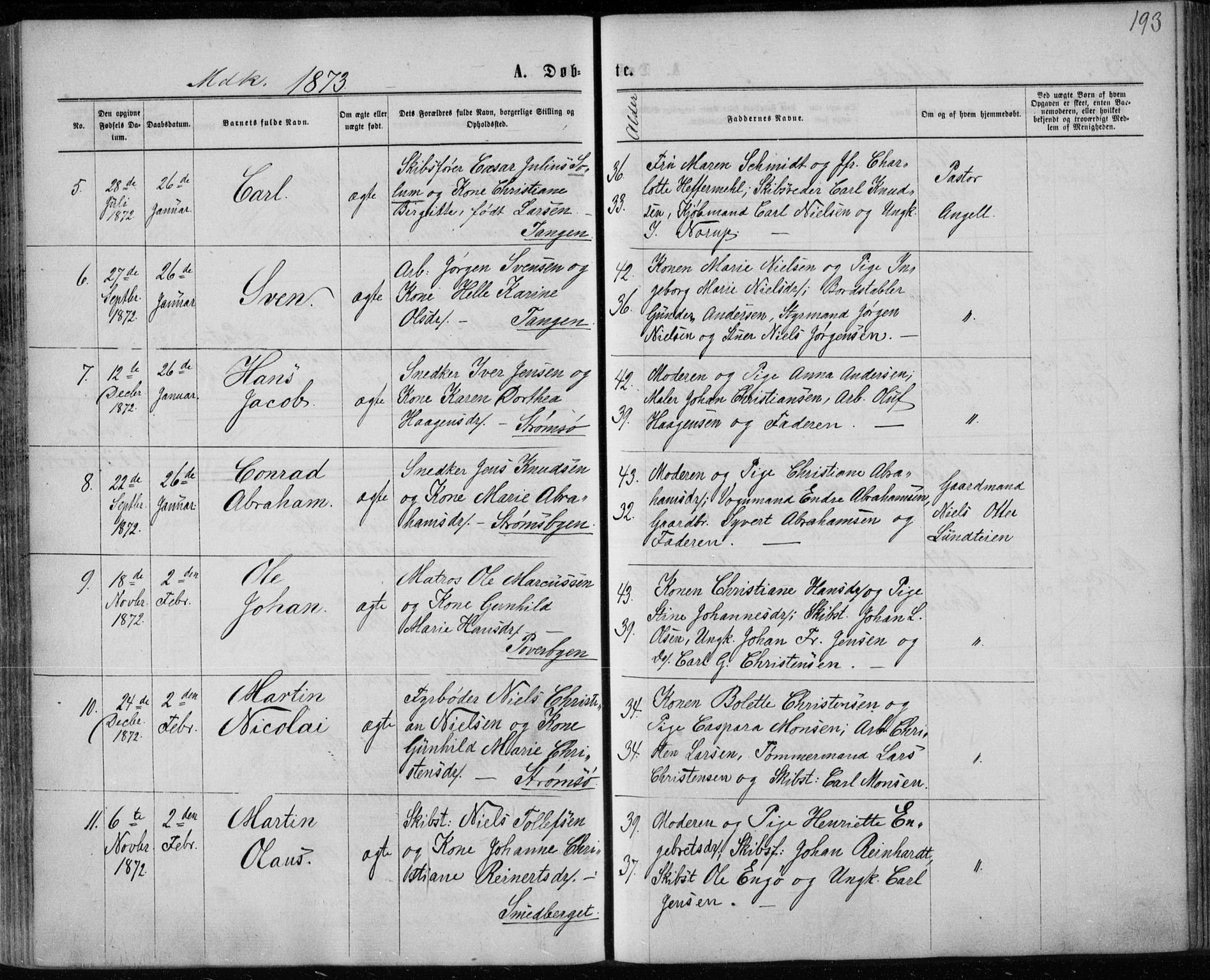 Strømsø kirkebøker, SAKO/A-246/F/Fa/L0016: Parish register (official) no. I 16, 1868-1873, p. 193