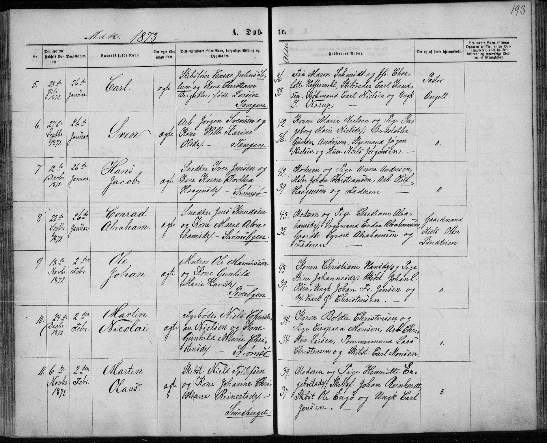 Strømsø kirkebøker, AV/SAKO-A-246/F/Fa/L0016: Parish register (official) no. I 16, 1868-1873, p. 193