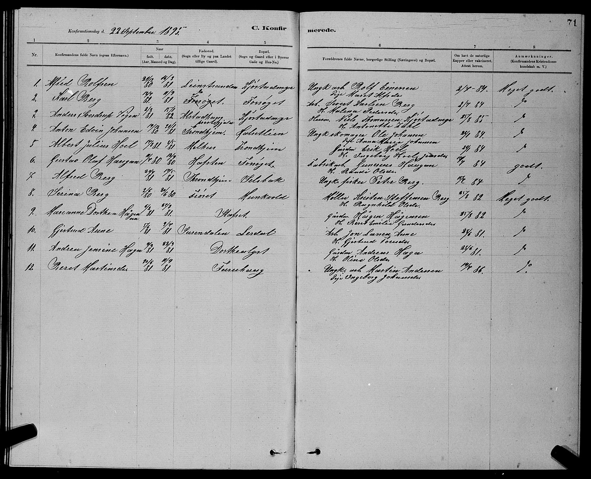 Ministerialprotokoller, klokkerbøker og fødselsregistre - Sør-Trøndelag, SAT/A-1456/611/L0354: Parish register (copy) no. 611C02, 1881-1896, p. 71