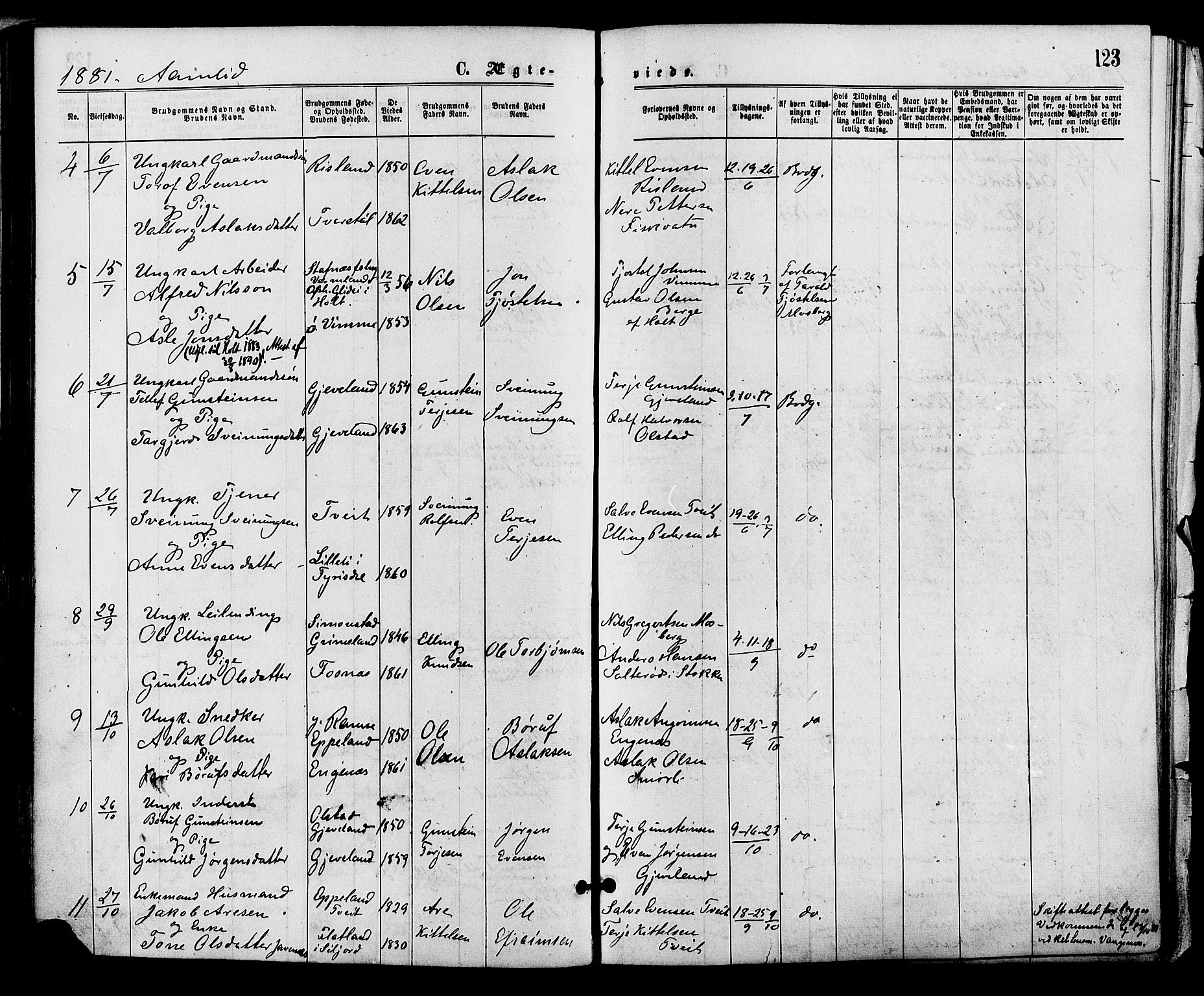 Åmli sokneprestkontor, AV/SAK-1111-0050/F/Fa/Fac/L0009: Parish register (official) no. A 9 /1, 1869-1884, p. 123