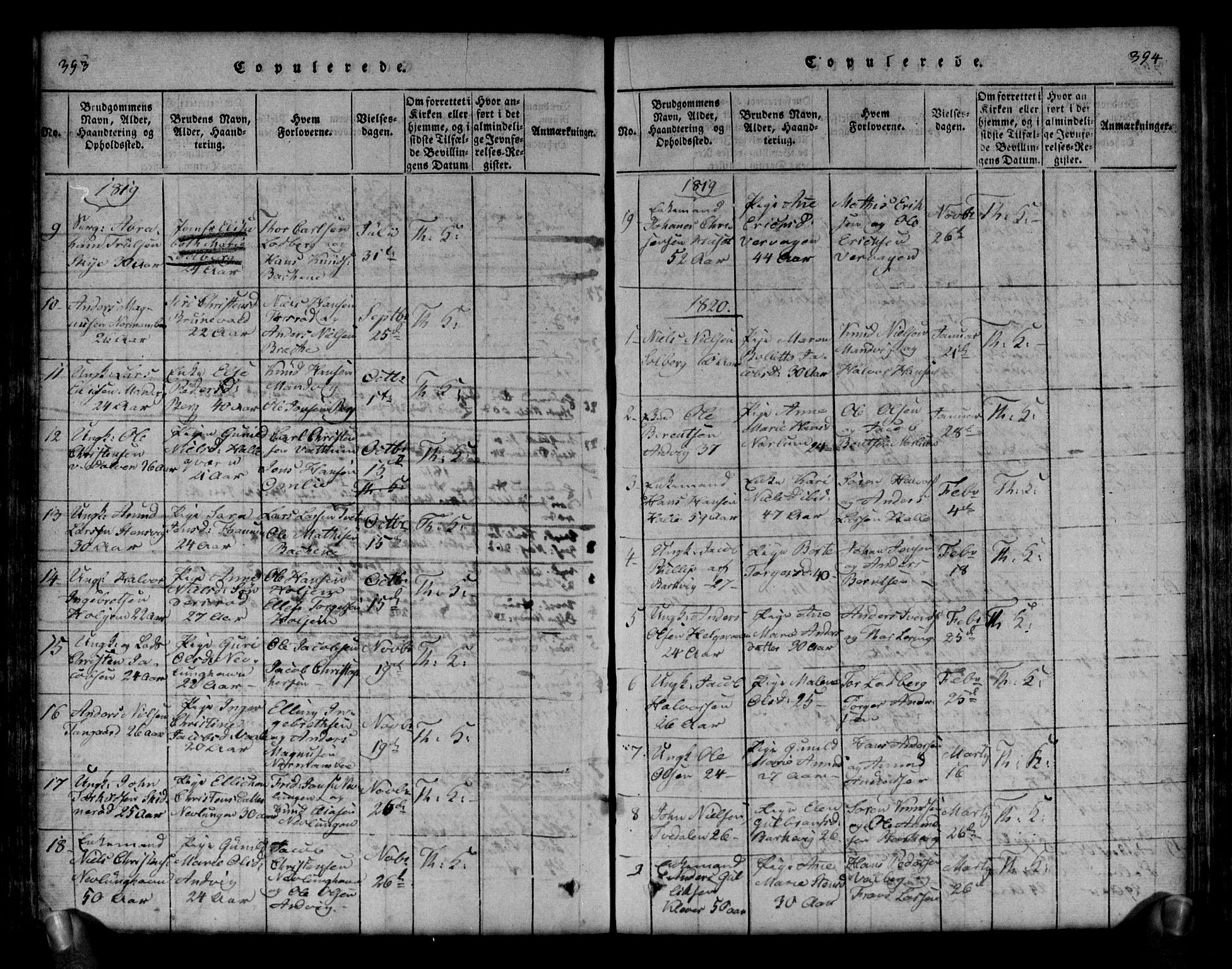 Brunlanes kirkebøker, SAKO/A-342/G/Ga/L0001: Parish register (copy) no. I 1, 1814-1834, p. 393-394