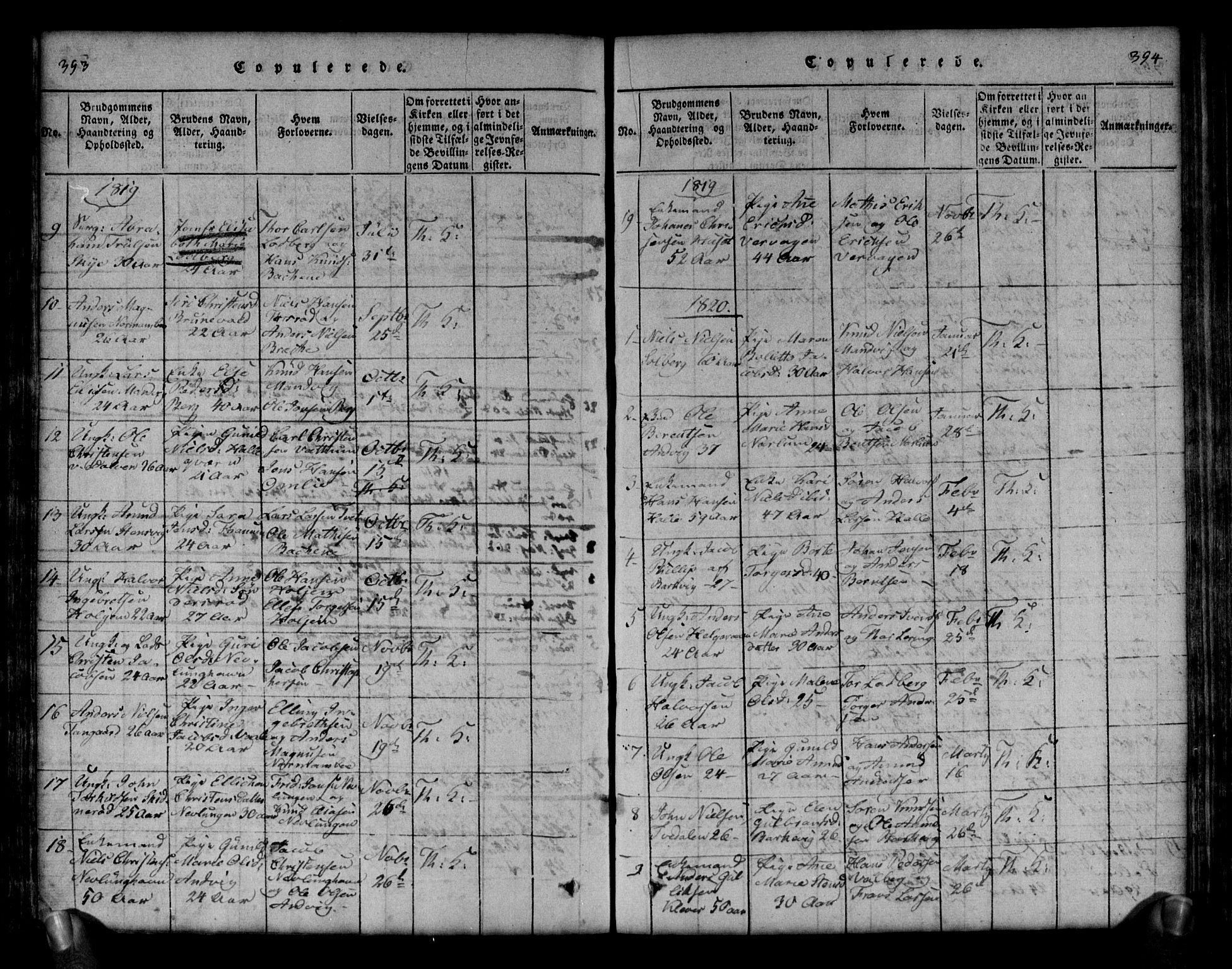 Brunlanes kirkebøker, AV/SAKO-A-342/G/Ga/L0001: Parish register (copy) no. I 1, 1814-1834, p. 393-394