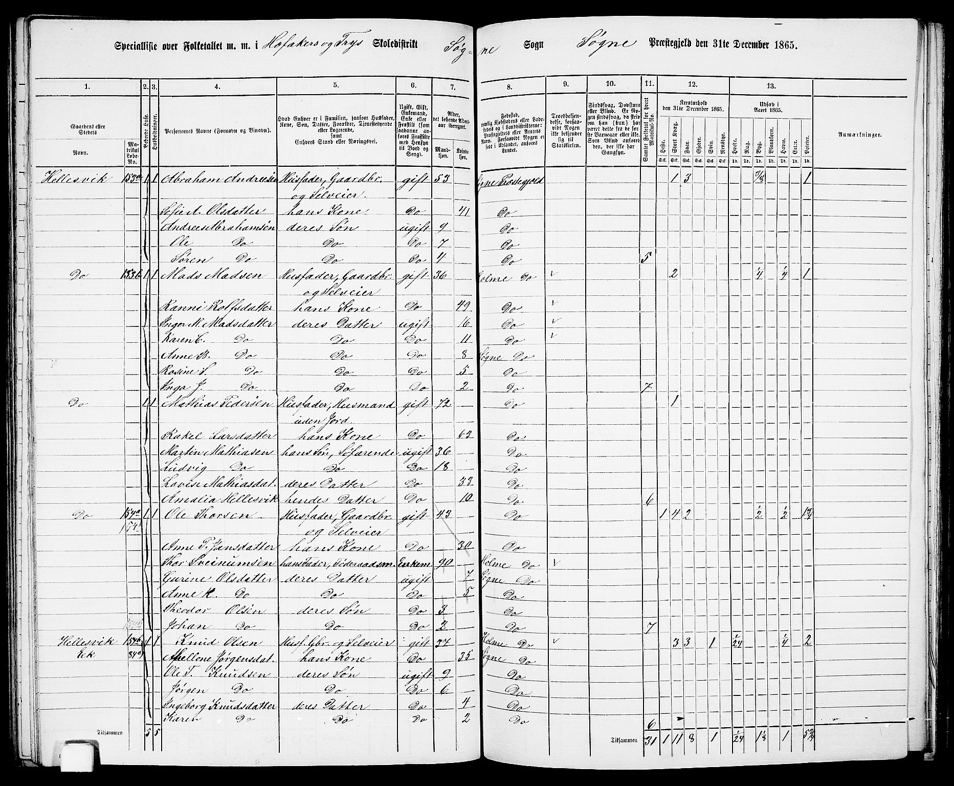 RA, 1865 census for Søgne, 1865, p. 102