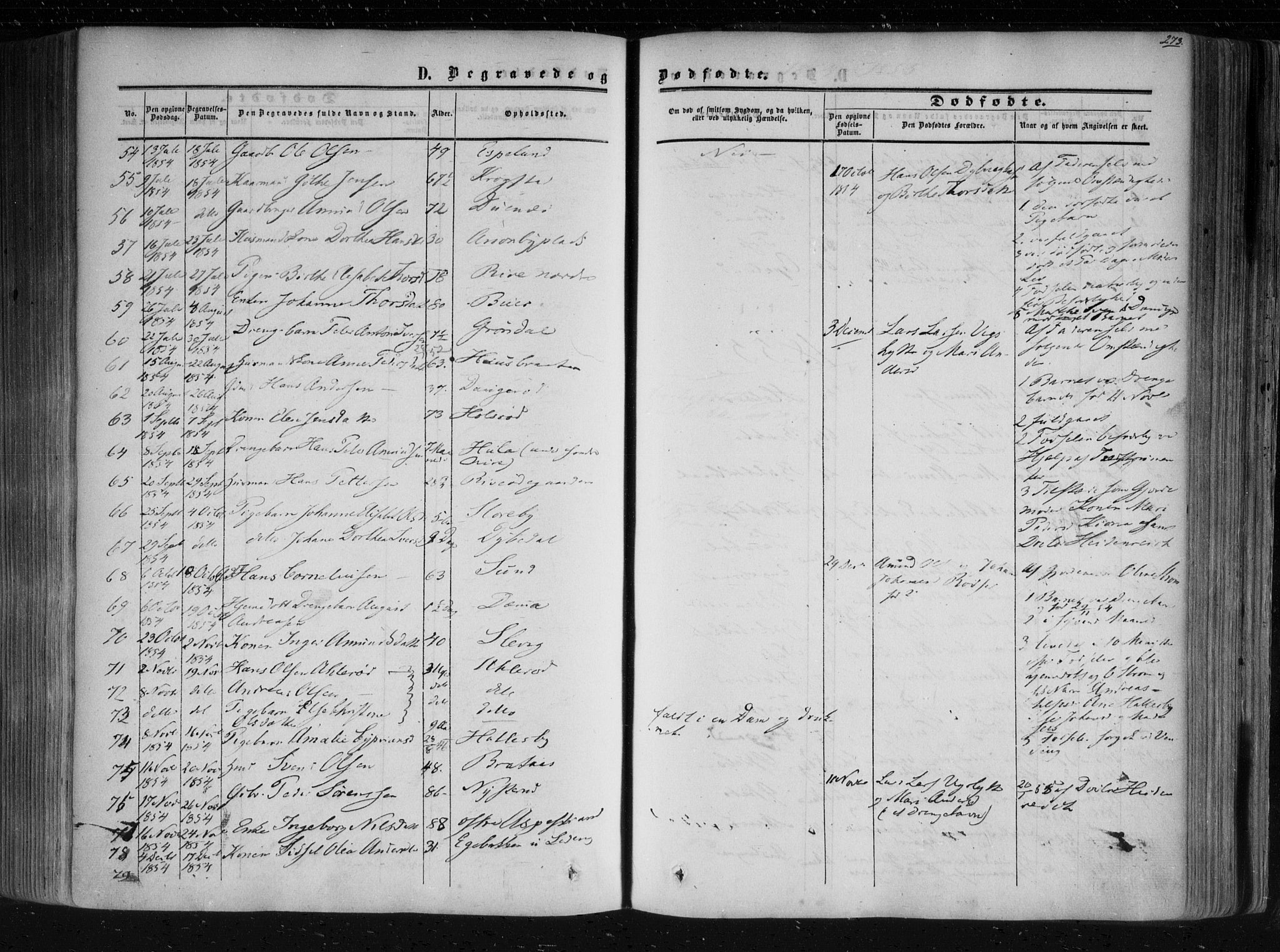 Aremark prestekontor Kirkebøker, AV/SAO-A-10899/F/Fc/L0003: Parish register (official) no. III 3, 1850-1865, p. 273