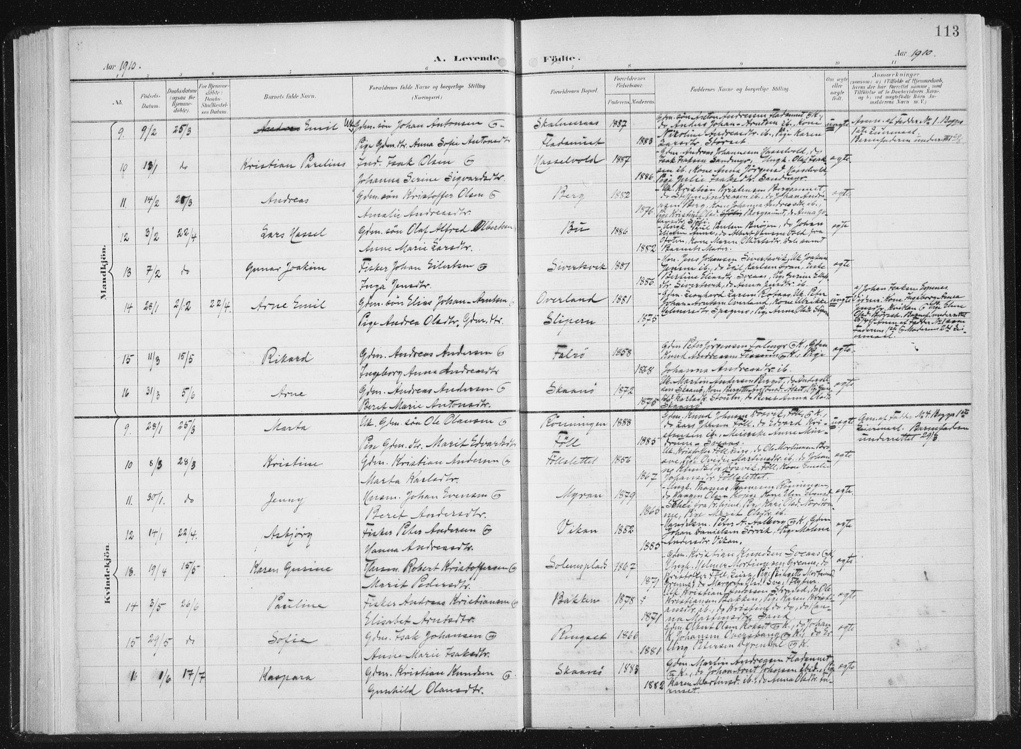 Ministerialprotokoller, klokkerbøker og fødselsregistre - Sør-Trøndelag, SAT/A-1456/647/L0635: Parish register (official) no. 647A02, 1896-1911, p. 113