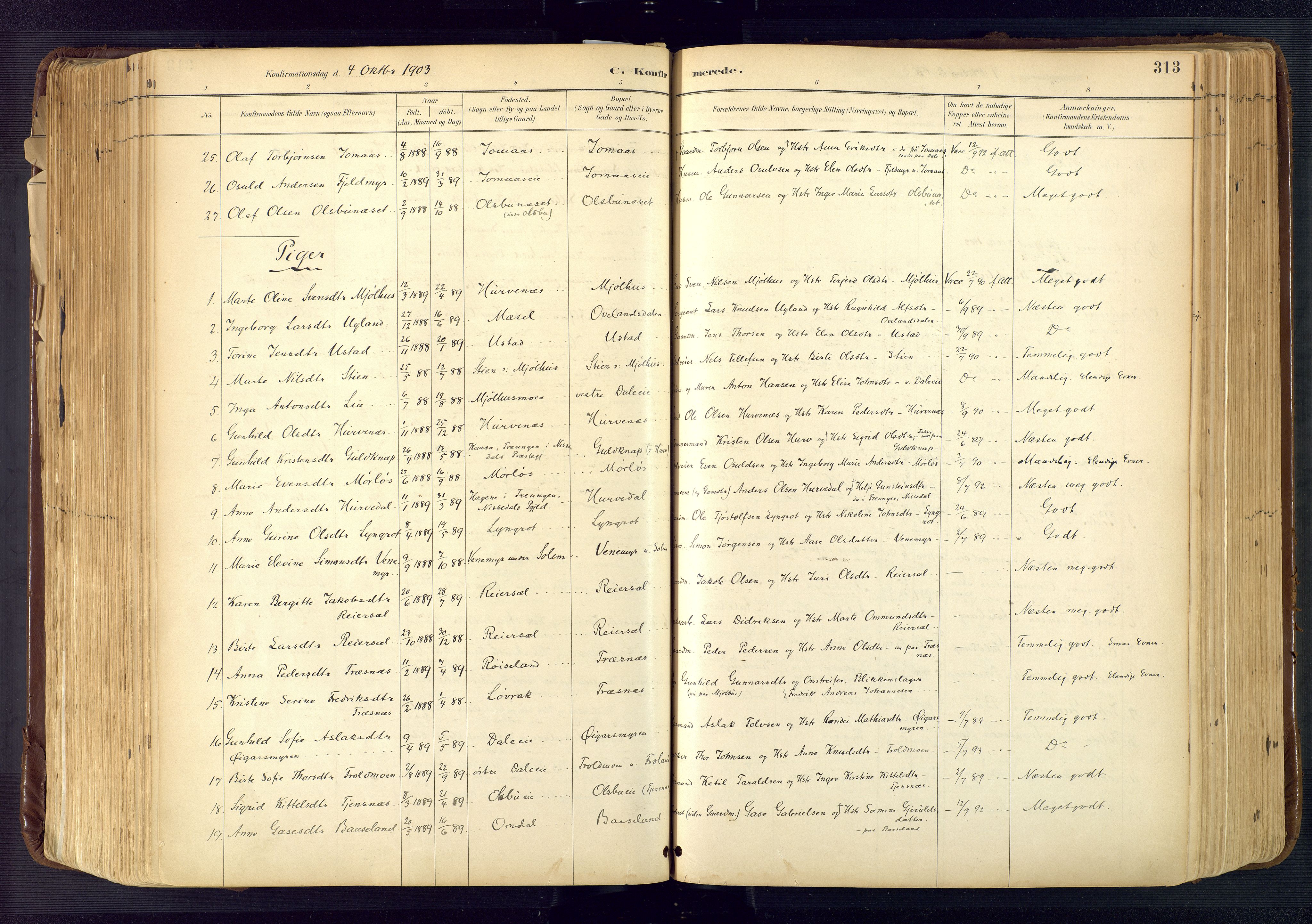 Froland sokneprestkontor, SAK/1111-0013/F/Fa/L0005: Parish register (official) no. A 5, 1882-1921, p. 313