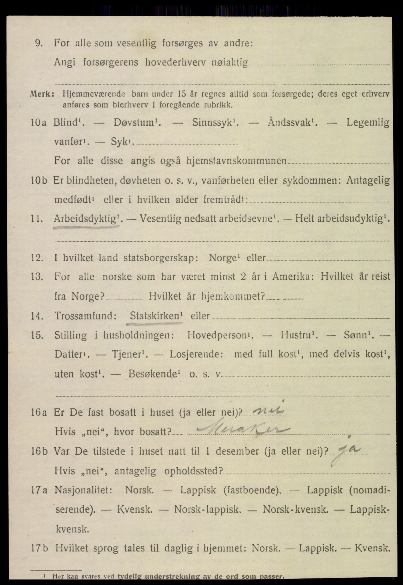 SAT, 1920 census for Meråker, 1920, p. 6213