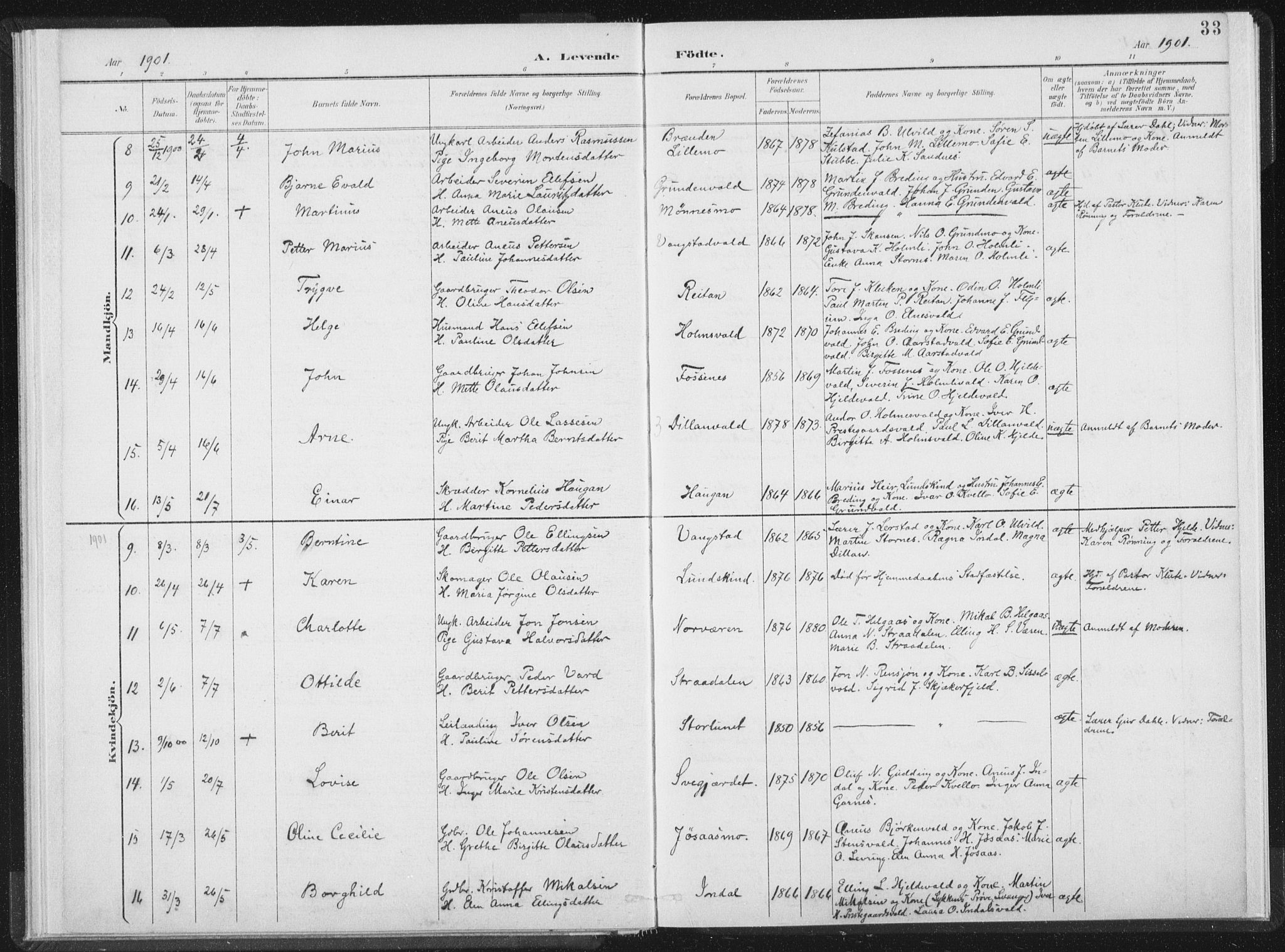 Ministerialprotokoller, klokkerbøker og fødselsregistre - Nord-Trøndelag, AV/SAT-A-1458/724/L0263: Parish register (official) no. 724A01, 1891-1907, p. 33