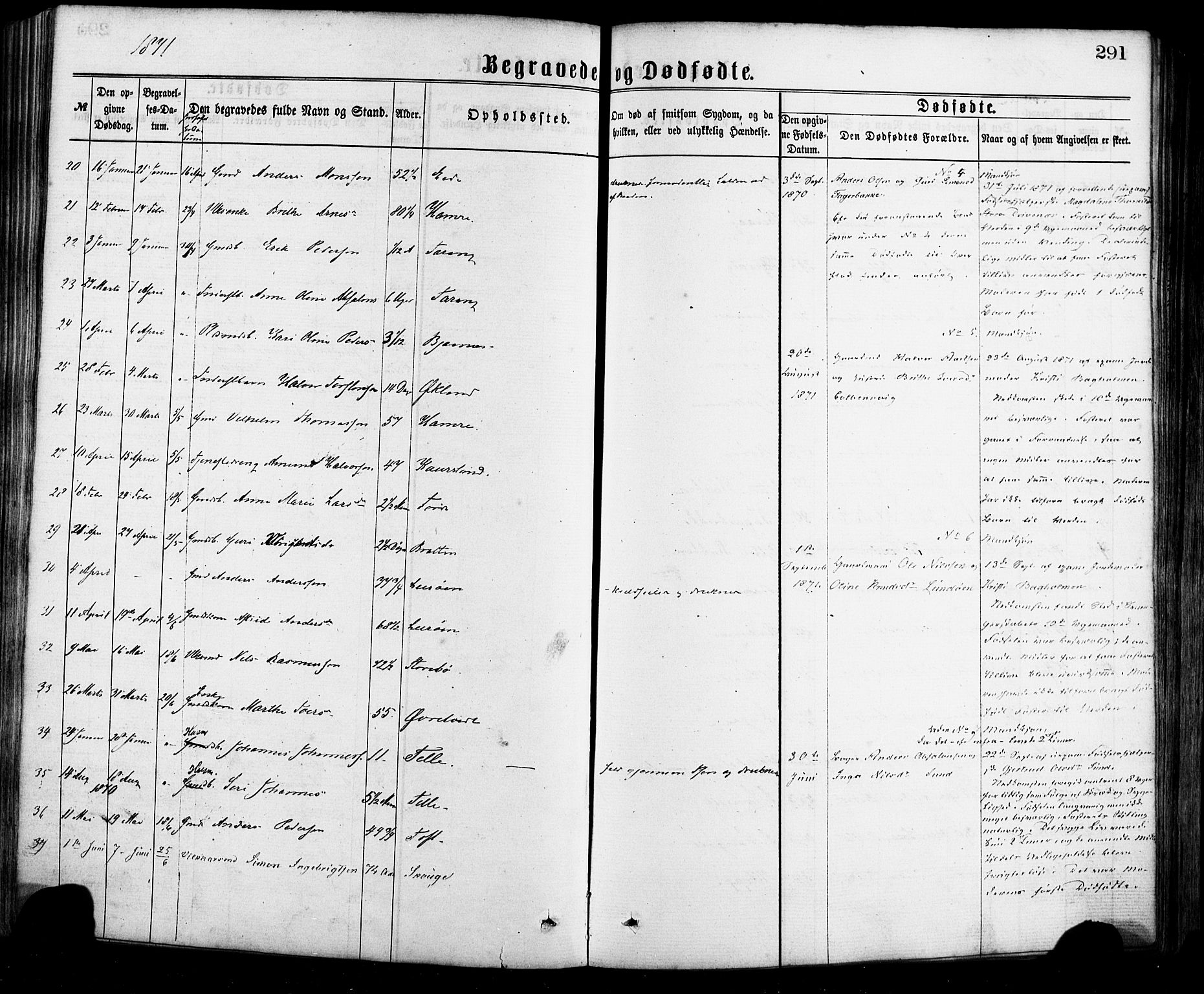 Sund sokneprestembete, AV/SAB-A-99930: Parish register (official) no. A 15, 1867-1881, p. 291