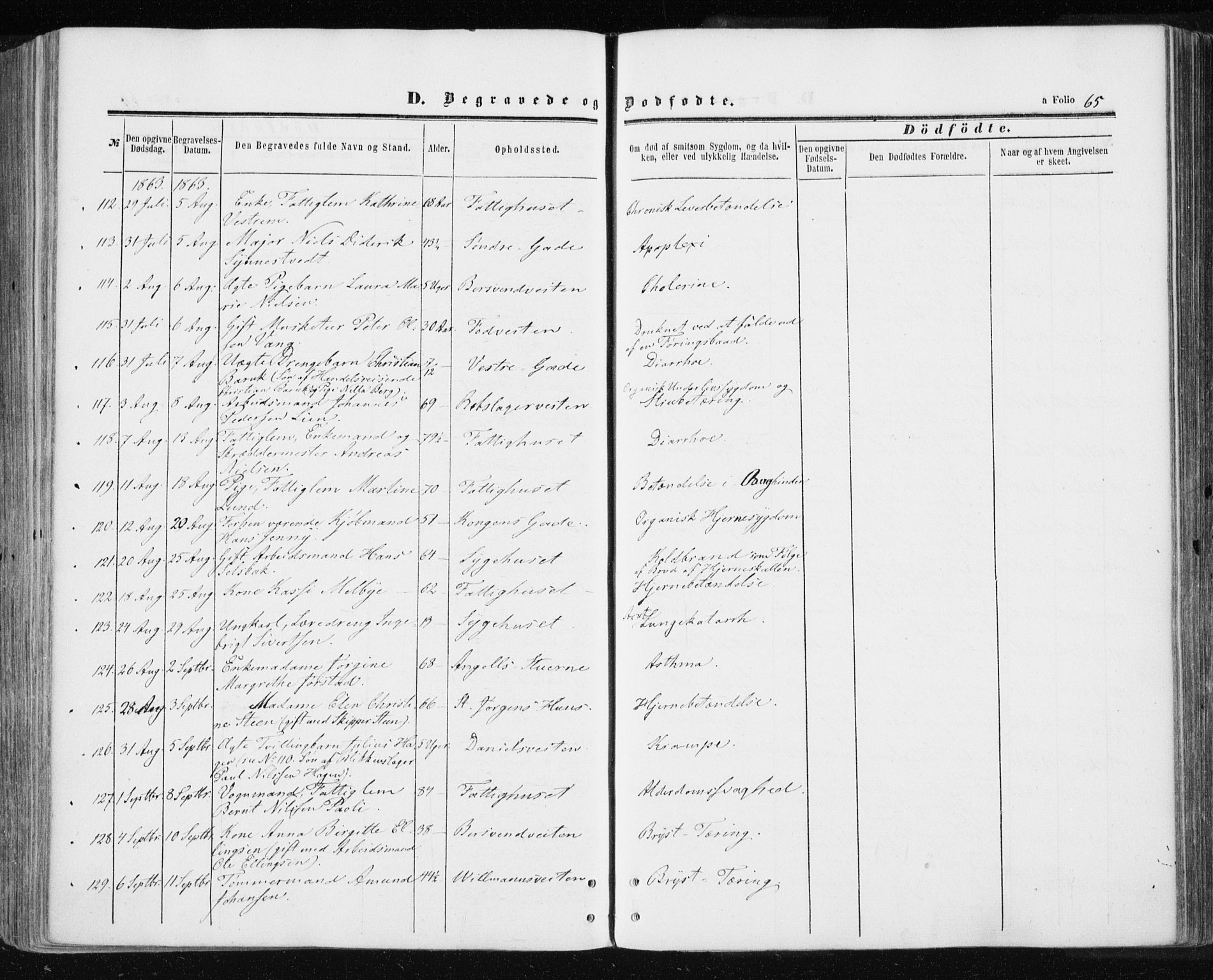 Ministerialprotokoller, klokkerbøker og fødselsregistre - Sør-Trøndelag, SAT/A-1456/601/L0053: Parish register (official) no. 601A21, 1857-1865, p. 65