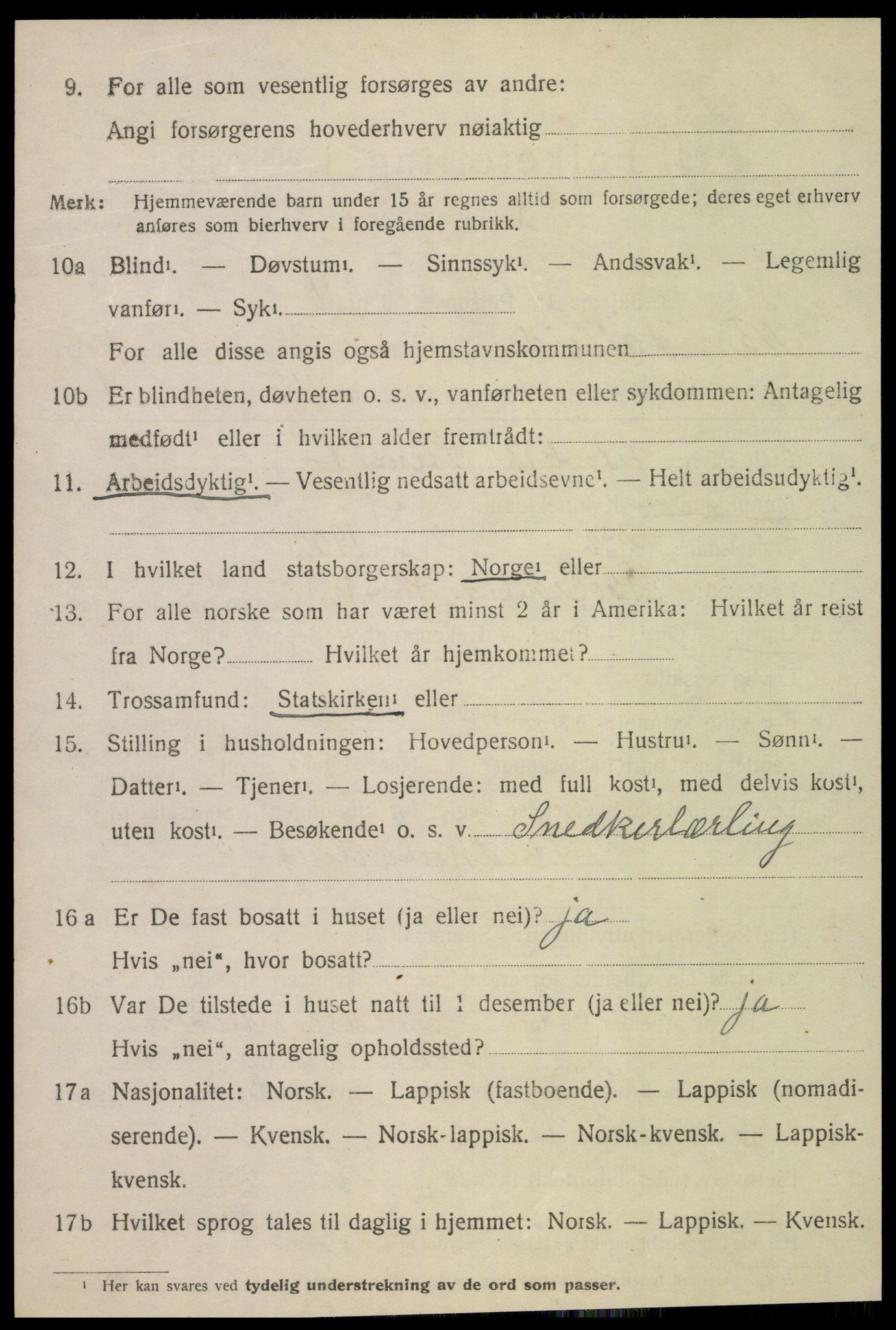 SAT, 1920 census for Namdalseid, 1920, p. 529