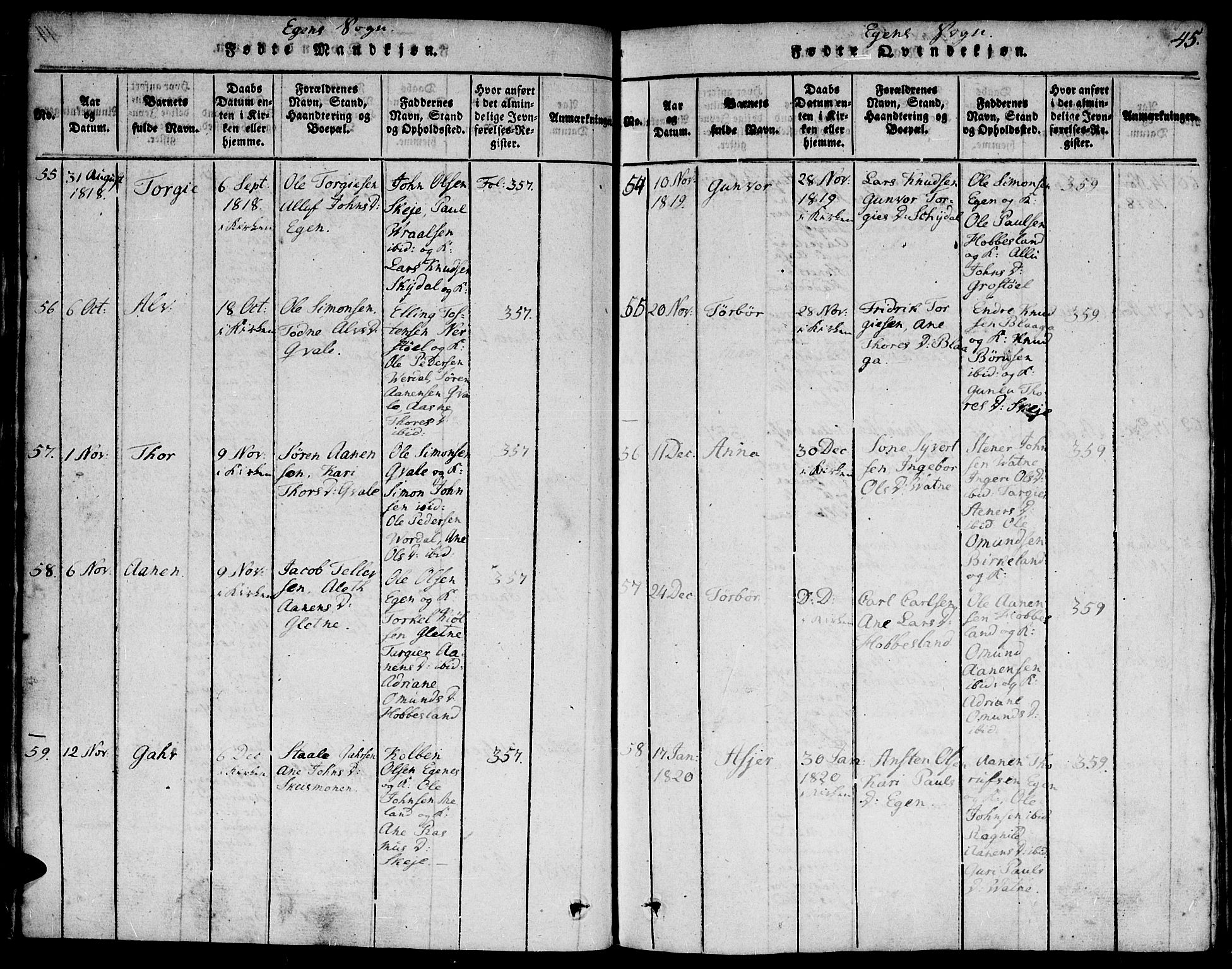 Hægebostad sokneprestkontor, SAK/1111-0024/F/Fa/Faa/L0002: Parish register (official) no. A 2 /2, 1816-1824, p. 45