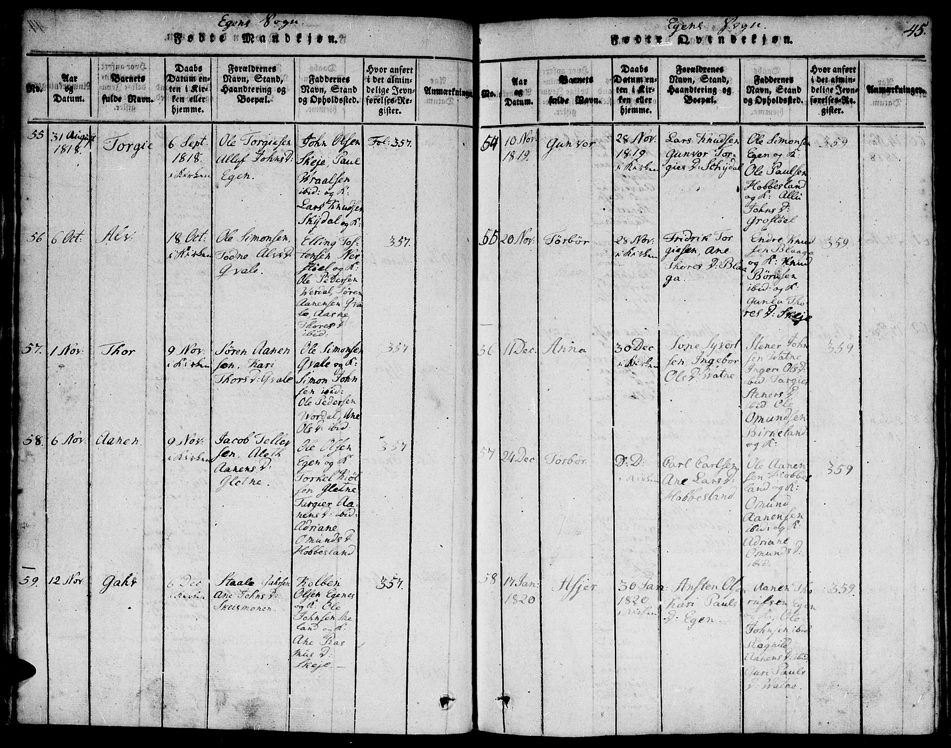 Hægebostad sokneprestkontor, AV/SAK-1111-0024/F/Fa/Faa/L0002: Parish register (official) no. A 2 /2, 1816-1824, p. 45