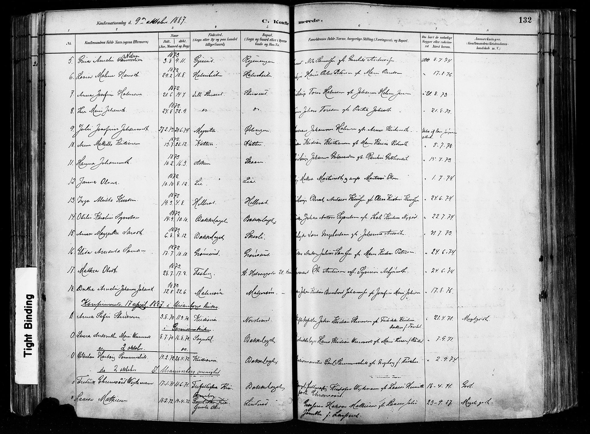 Østre Aker prestekontor Kirkebøker, SAO/A-10840/F/Fa/L0008: Parish register (official) no. I 8, 1883-1894, p. 132