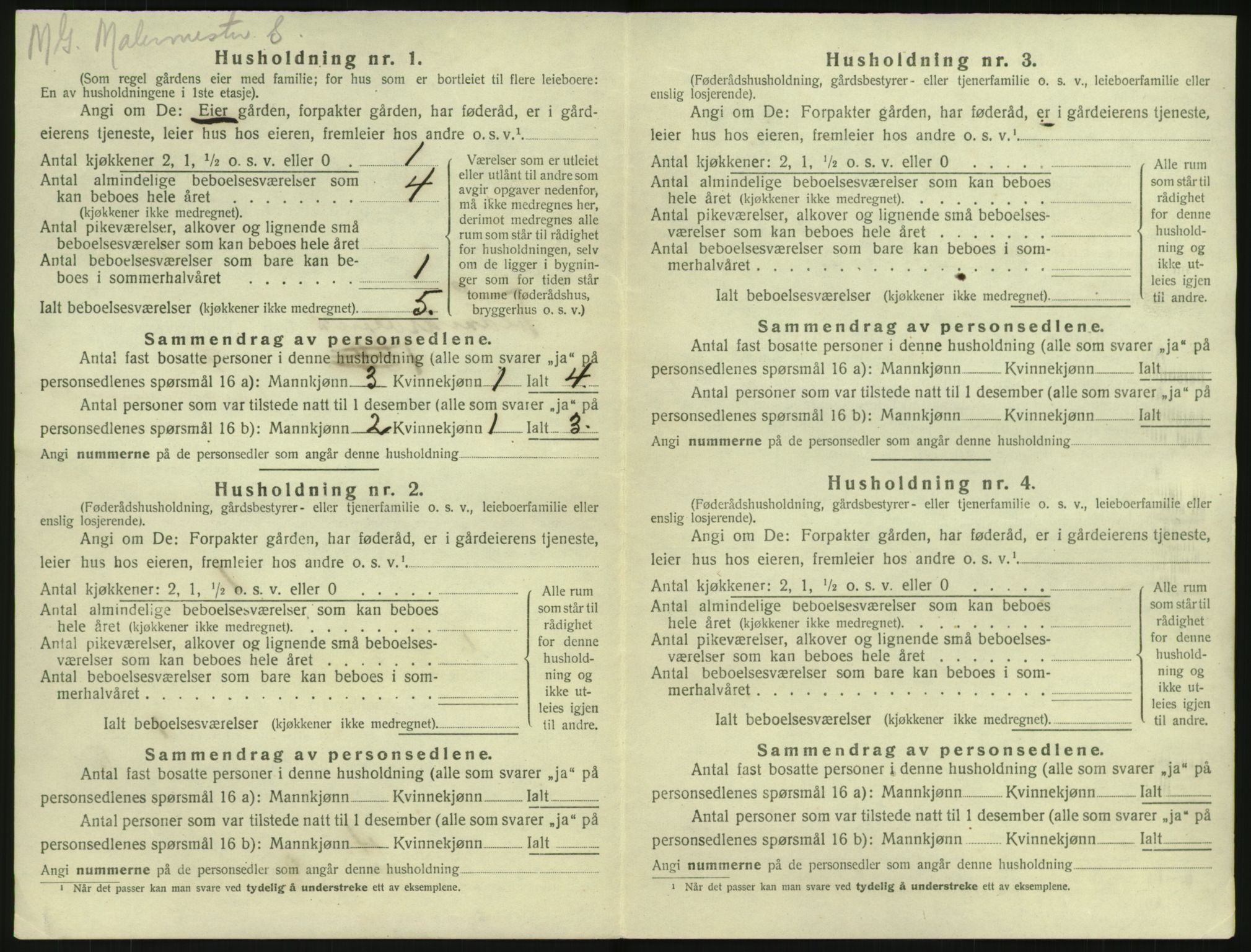 SAKO, 1920 census for Fredriksvern, 1920, p. 16