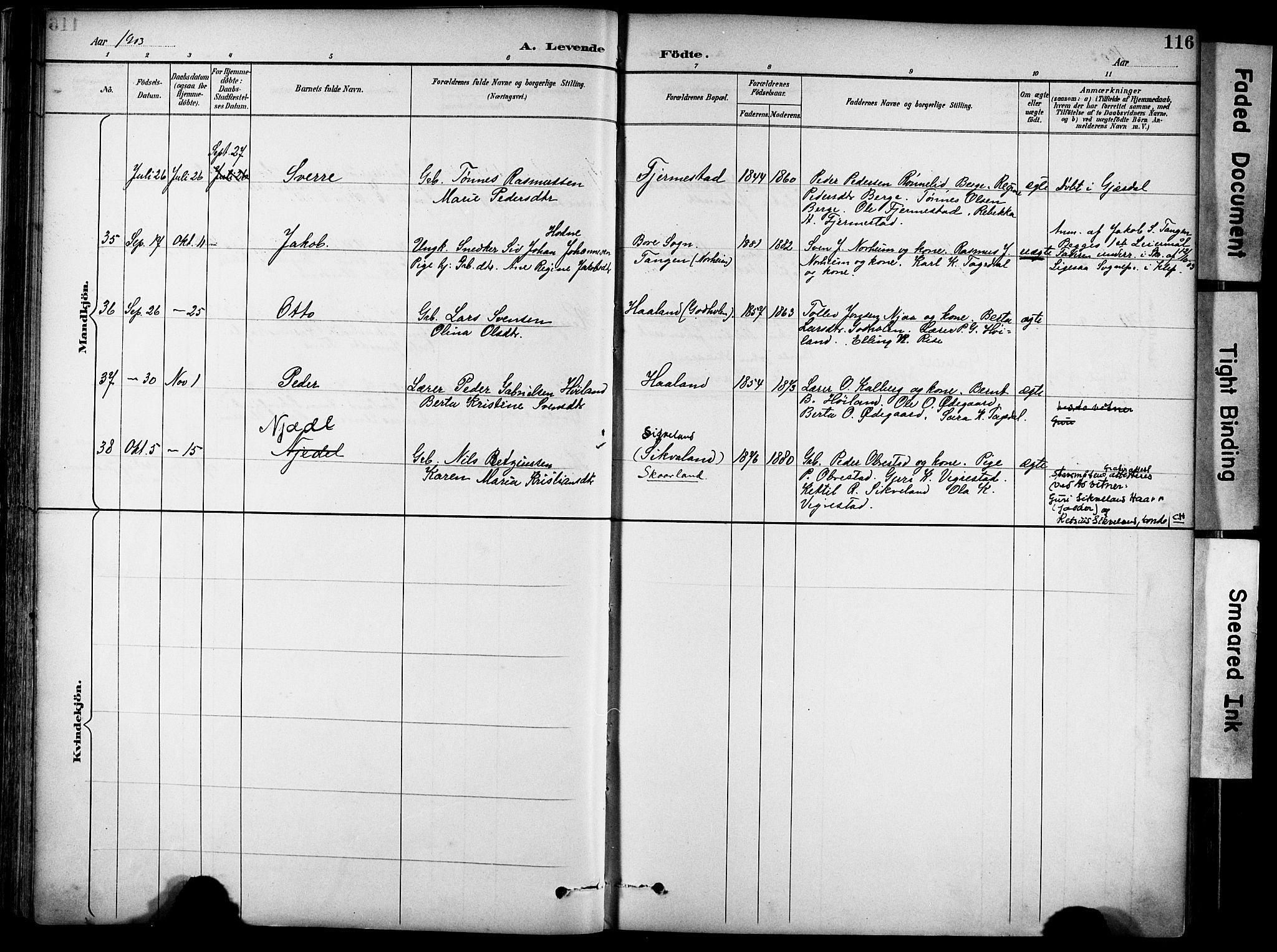 Lye sokneprestkontor, AV/SAST-A-101794/001/30BA/L0011: Parish register (official) no. A 9, 1893-1903, p. 116