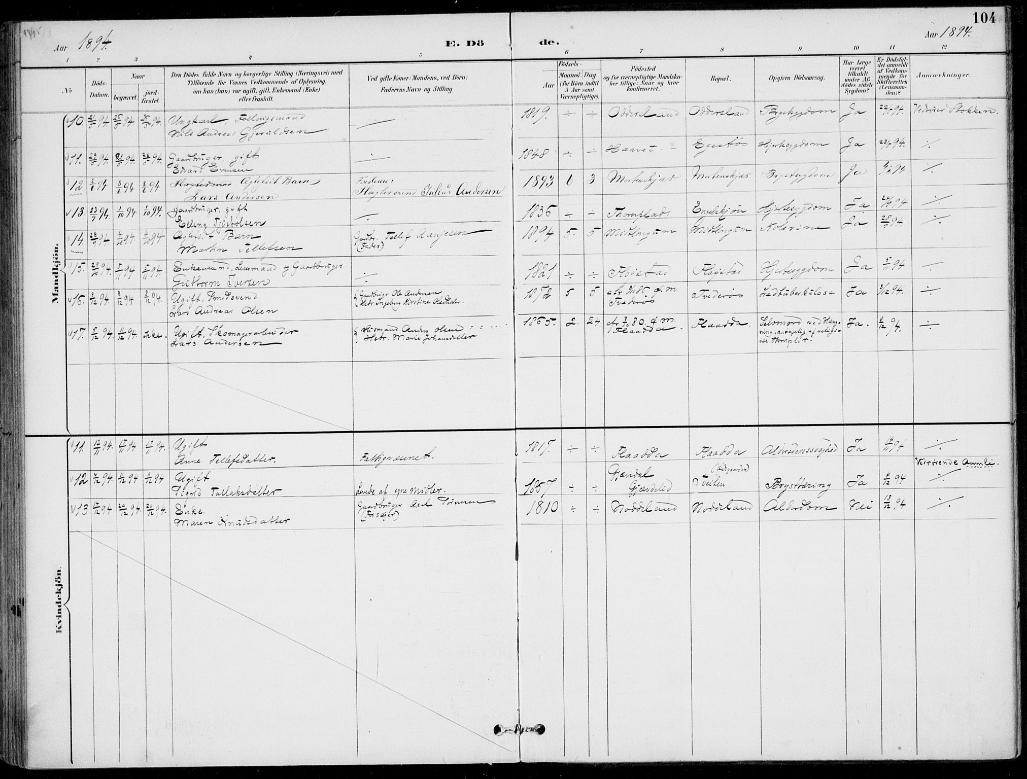 Austre Moland sokneprestkontor, AV/SAK-1111-0001/F/Fa/Faa/L0011: Parish register (official) no. A 11, 1894-1915, p. 104