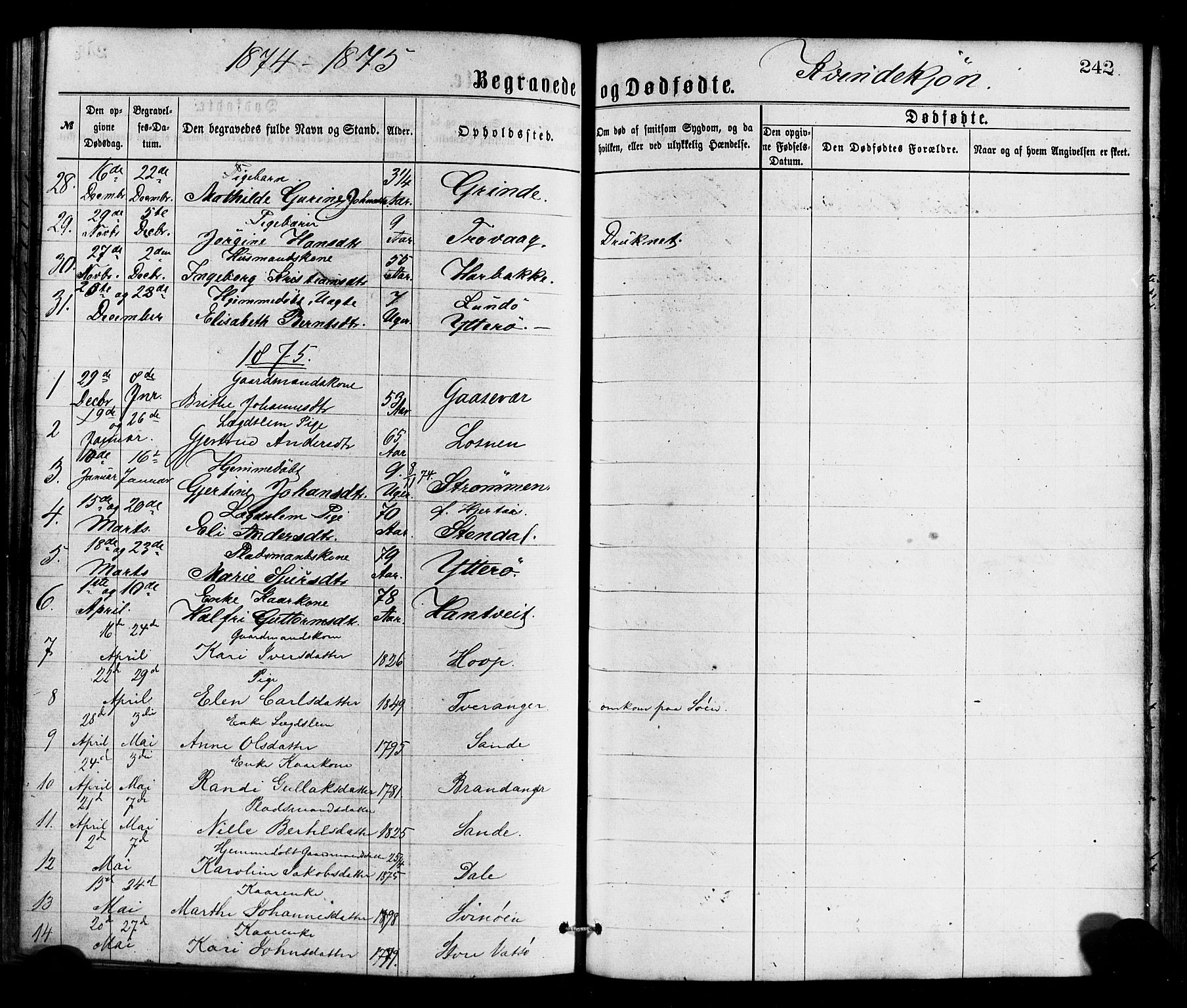 Gulen sokneprestembete, AV/SAB-A-80201/H/Haa/Haaa/L0023: Parish register (official) no. A 23, 1870-1880, p. 242
