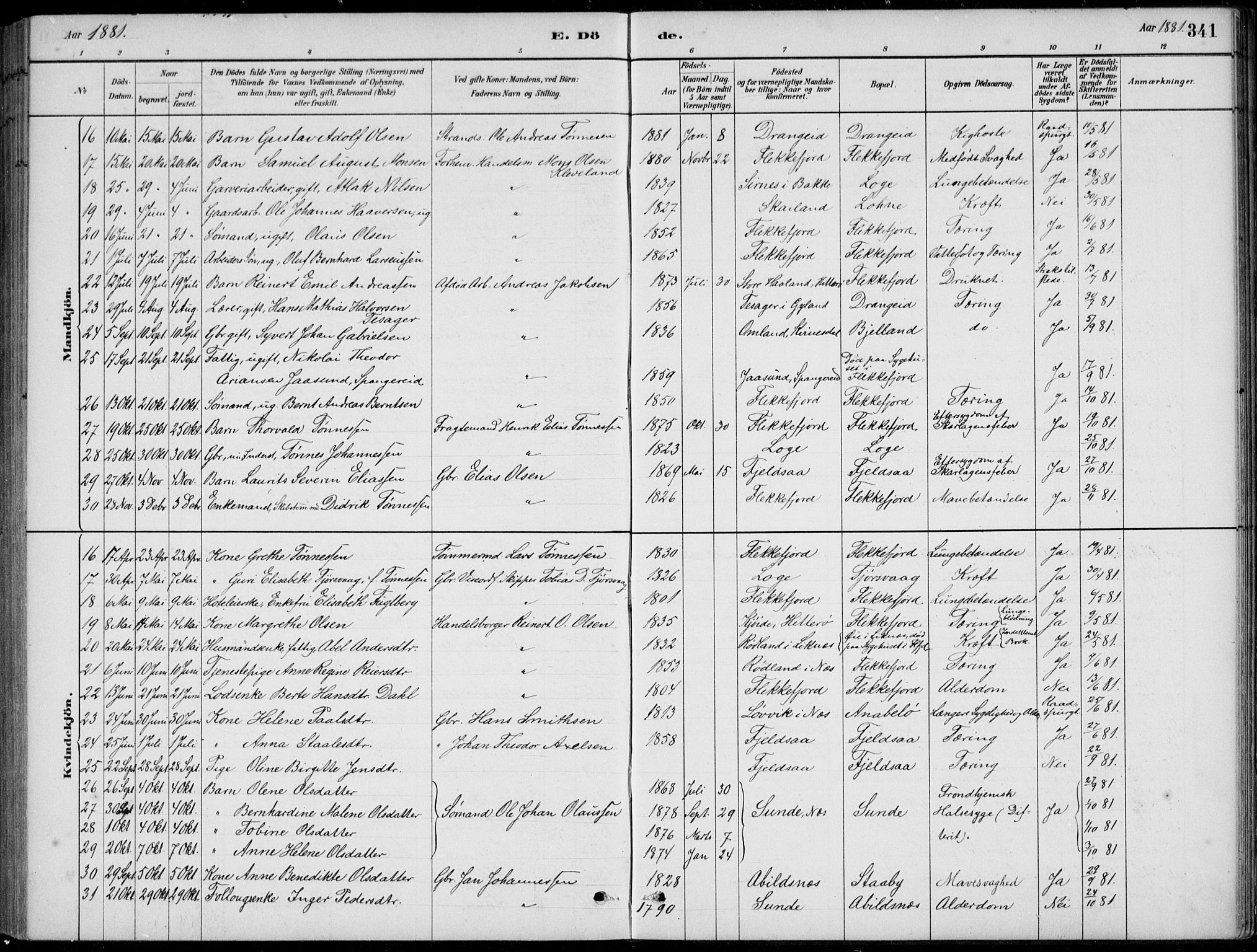 Flekkefjord sokneprestkontor, AV/SAK-1111-0012/F/Fb/Fbc/L0007: Parish register (copy) no. B 7, 1880-1902, p. 341