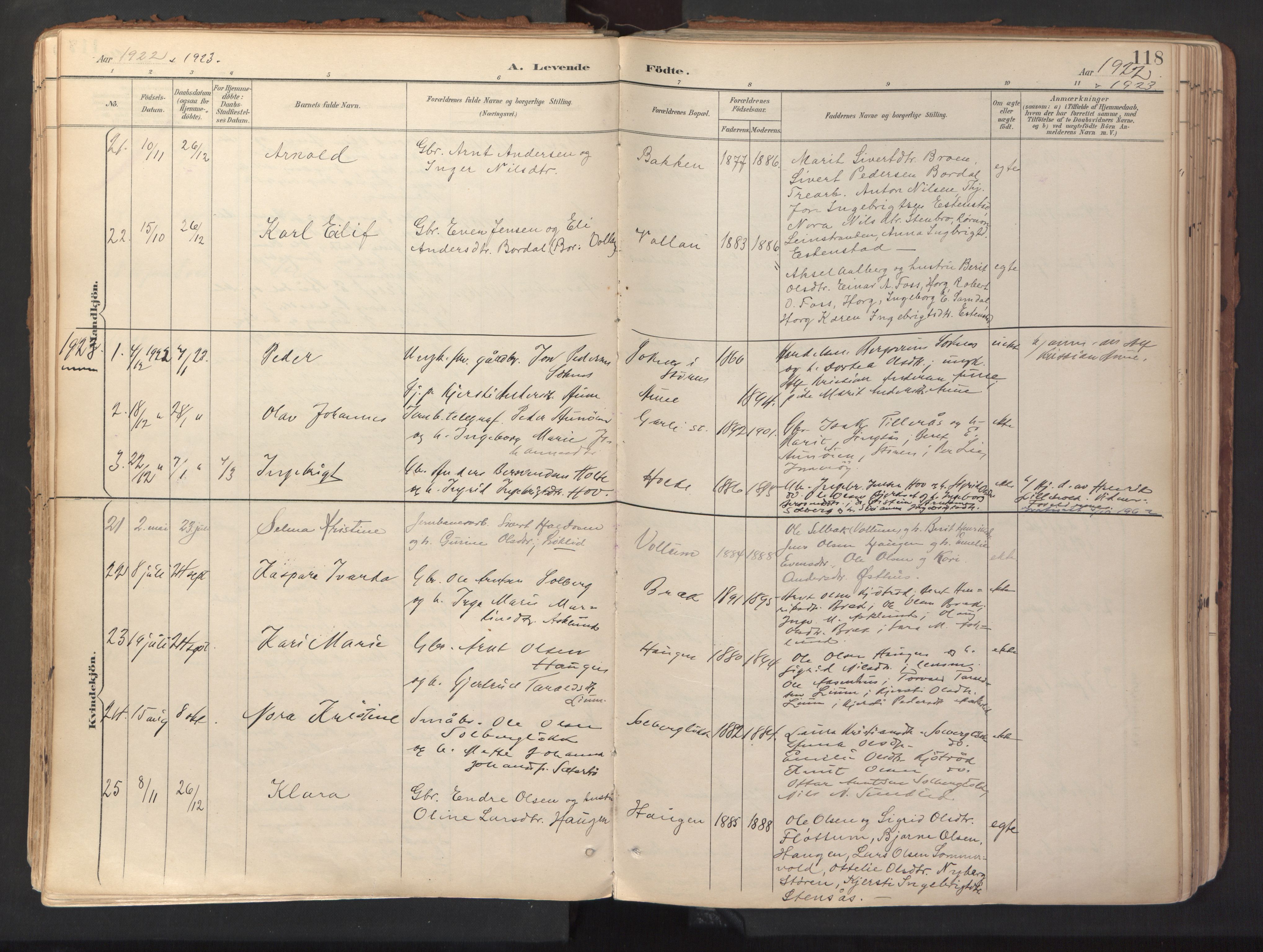 Ministerialprotokoller, klokkerbøker og fødselsregistre - Sør-Trøndelag, SAT/A-1456/689/L1041: Parish register (official) no. 689A06, 1891-1923, p. 118