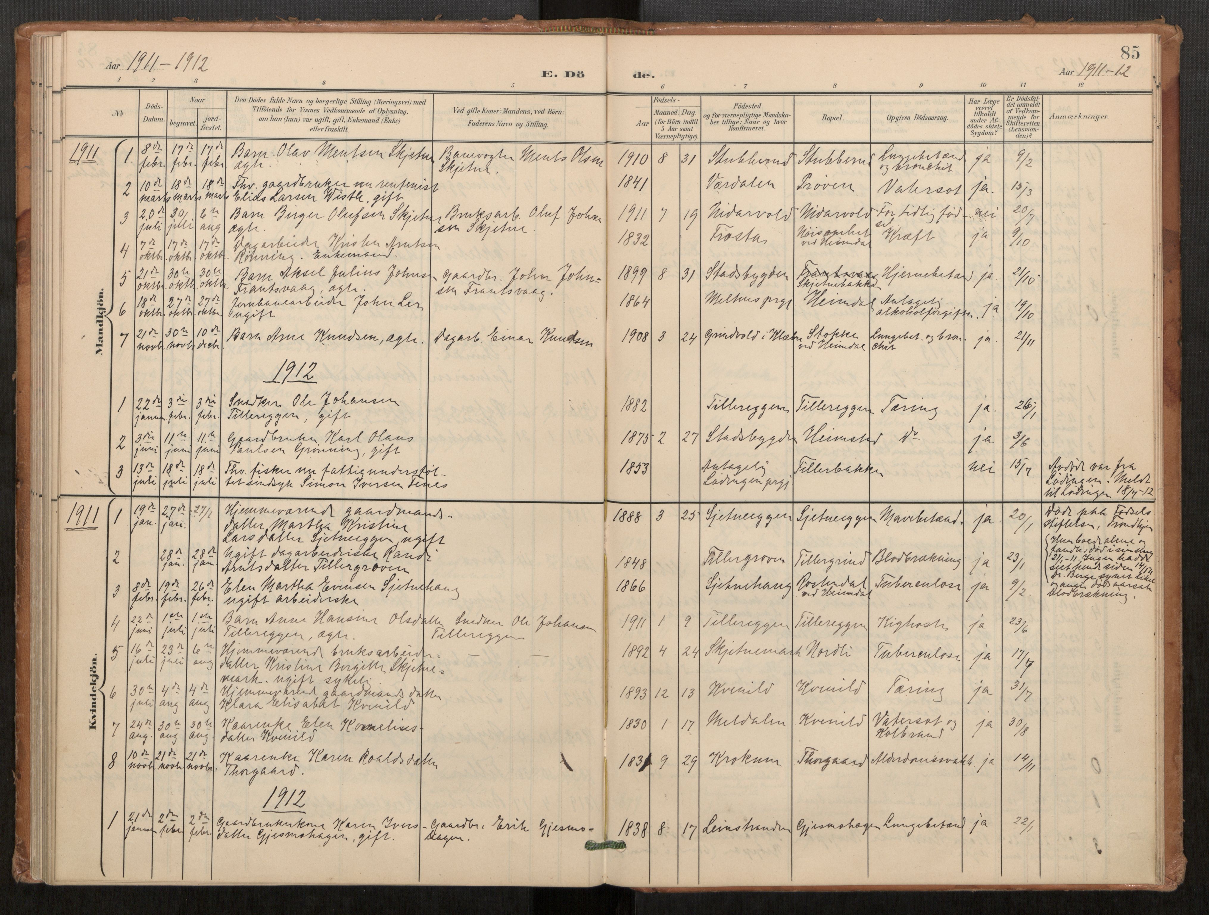 Klæbu sokneprestkontor, SAT/A-1112: Parish register (official) no. 2, 1900-1916, p. 85