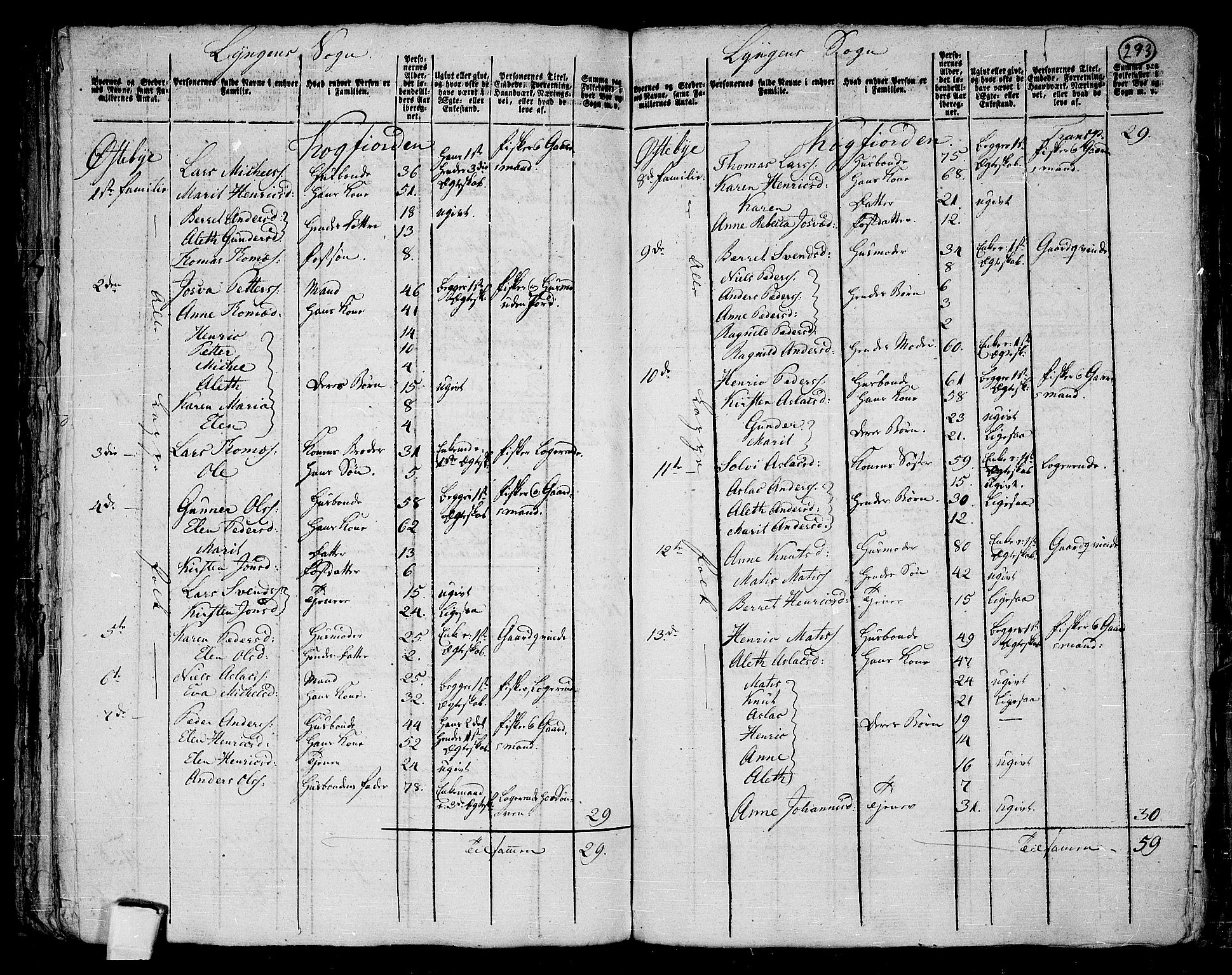 RA, 1801 census for 1938P Lyngen, 1801, p. 292b-293a