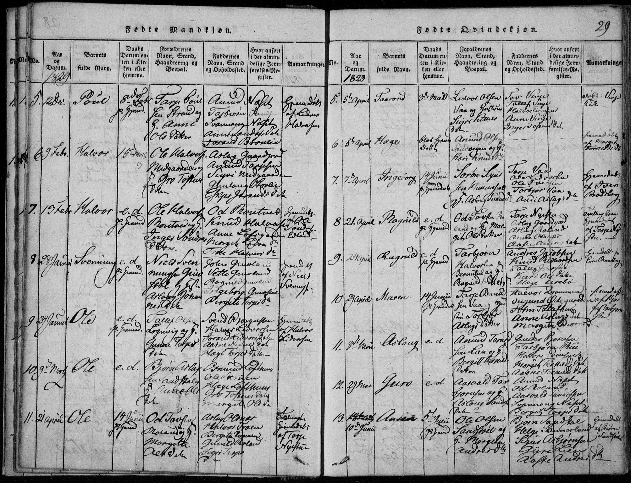 Rauland kirkebøker, AV/SAKO-A-292/F/Fa/L0001: Parish register (official) no. I 1, 1814-1859, p. 29