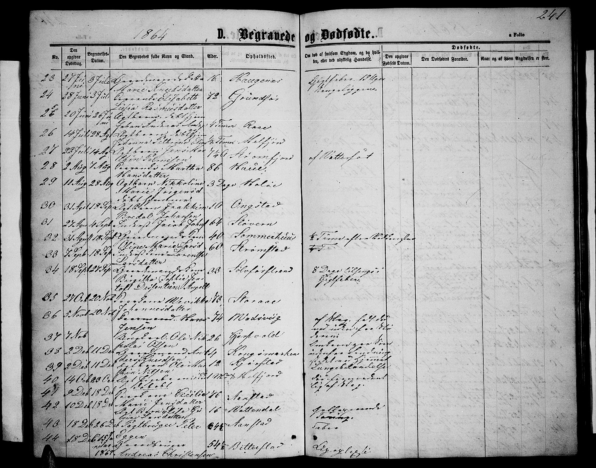 Ministerialprotokoller, klokkerbøker og fødselsregistre - Nordland, AV/SAT-A-1459/888/L1266: Parish register (copy) no. 888C04, 1864-1877, p. 241