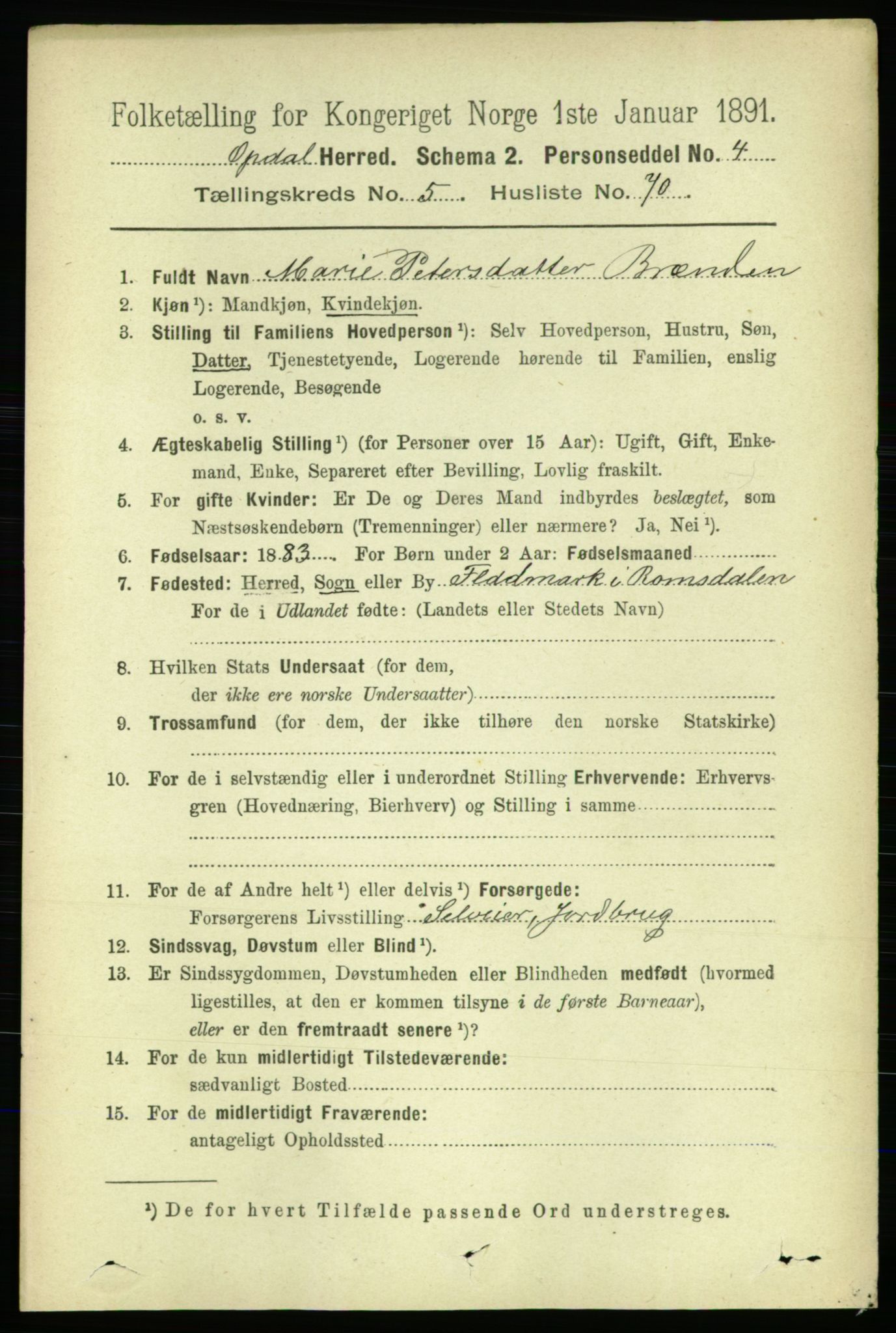 RA, 1891 census for 1634 Oppdal, 1891, p. 2666