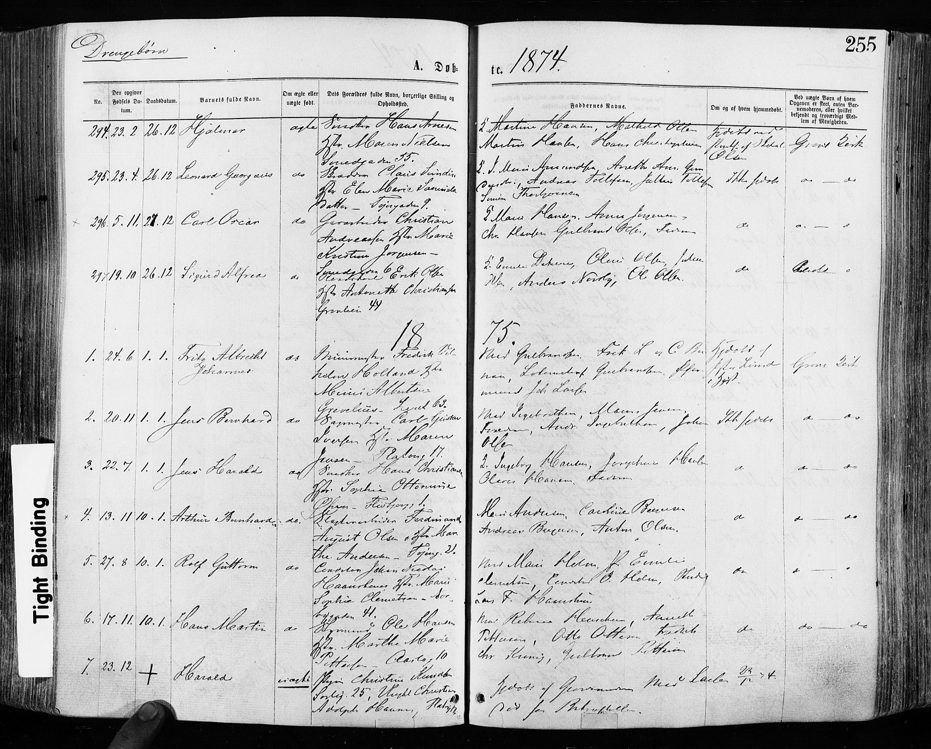 Grønland prestekontor Kirkebøker, SAO/A-10848/F/Fa/L0004: Parish register (official) no. 4, 1869-1880, p. 255