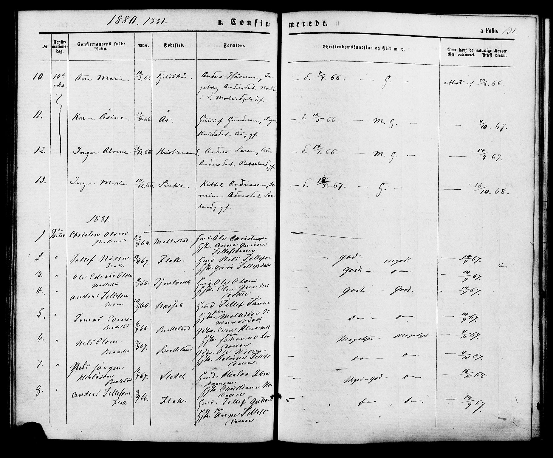 Birkenes sokneprestkontor, AV/SAK-1111-0004/F/Fa/L0004: Parish register (official) no. A 4, 1867-1886, p. 131