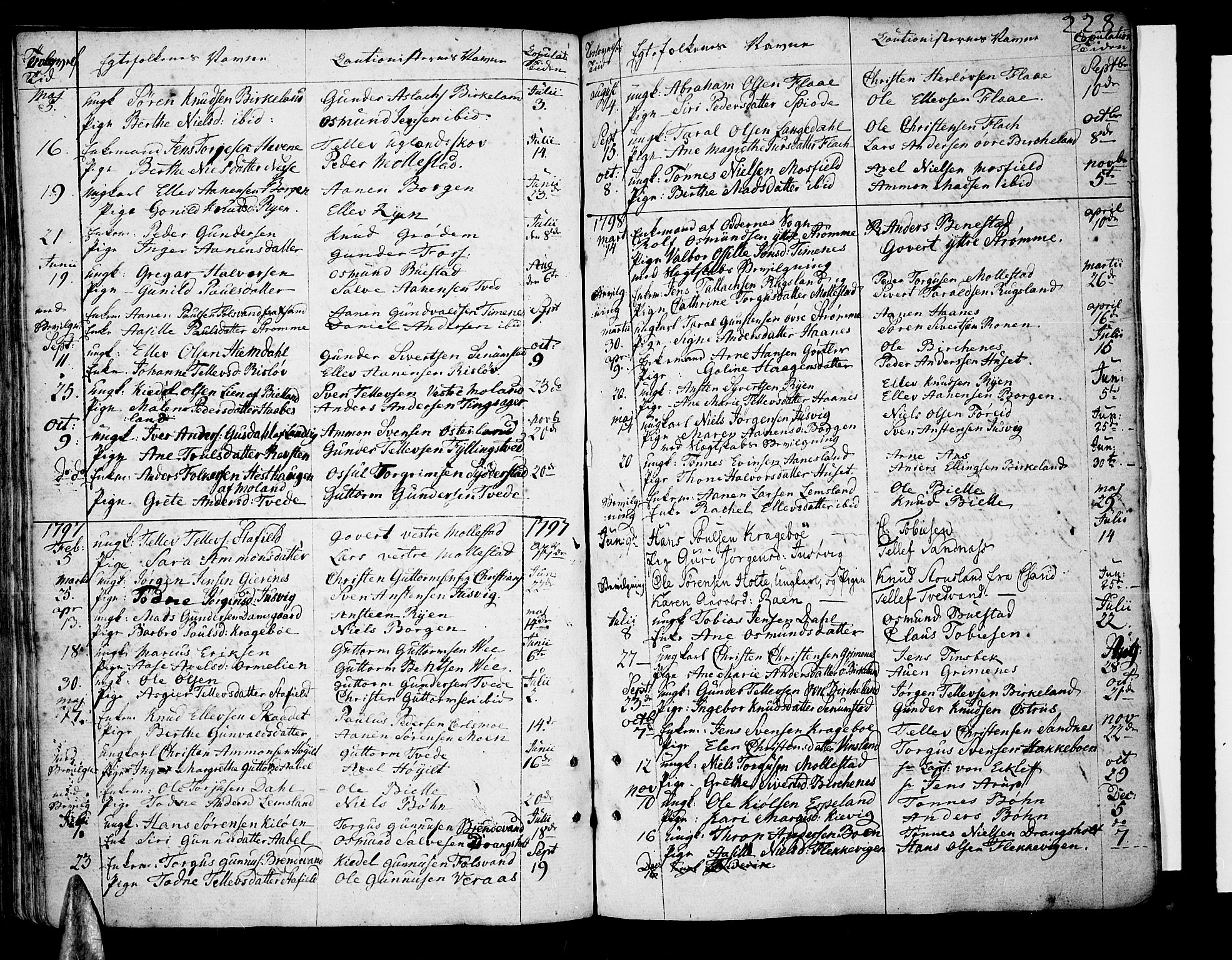 Tveit sokneprestkontor, SAK/1111-0043/F/Fa/L0001: Parish register (official) no. A 1, 1794-1819, p. 228