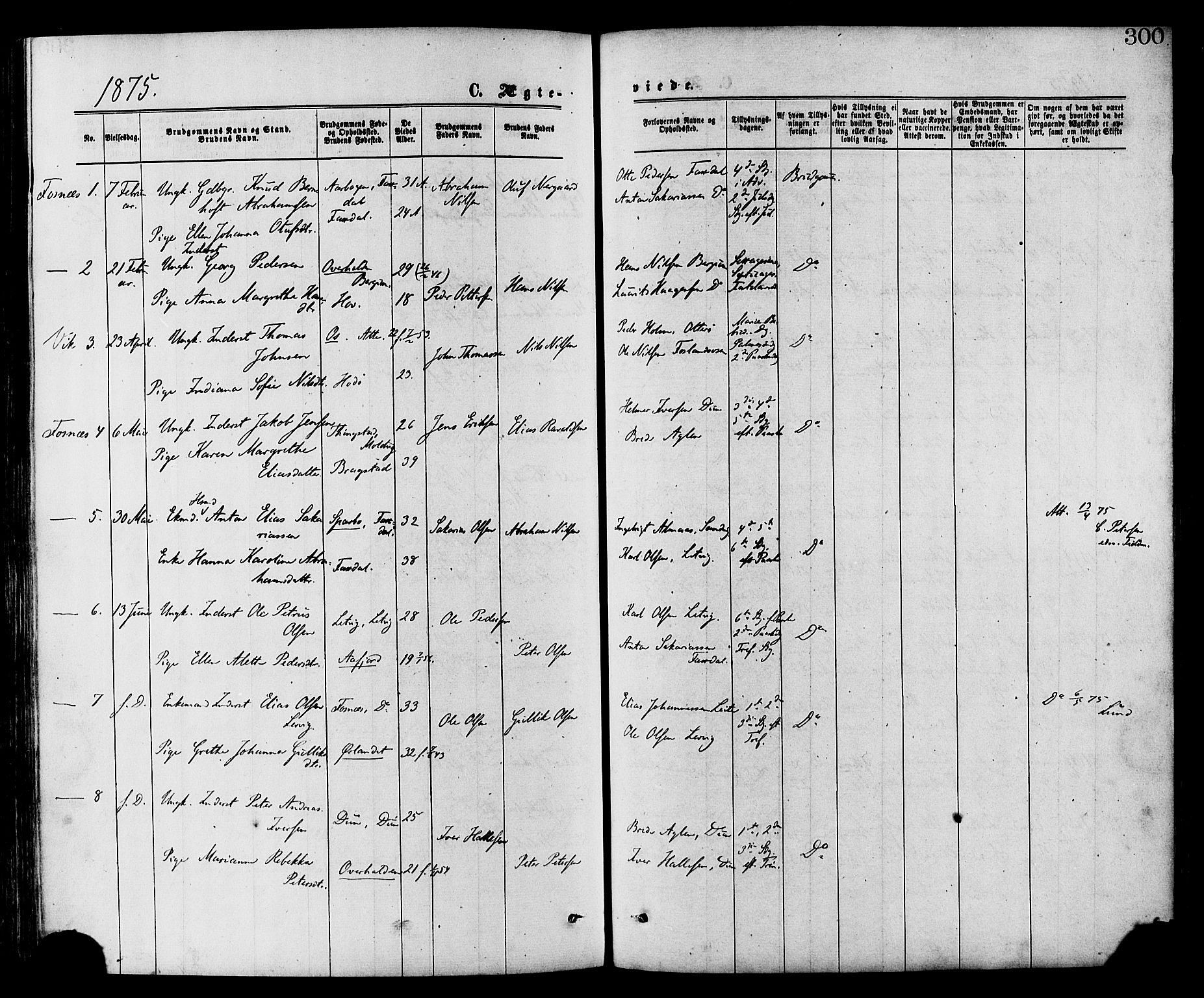 Ministerialprotokoller, klokkerbøker og fødselsregistre - Nord-Trøndelag, SAT/A-1458/773/L0616: Parish register (official) no. 773A07, 1870-1887, p. 300