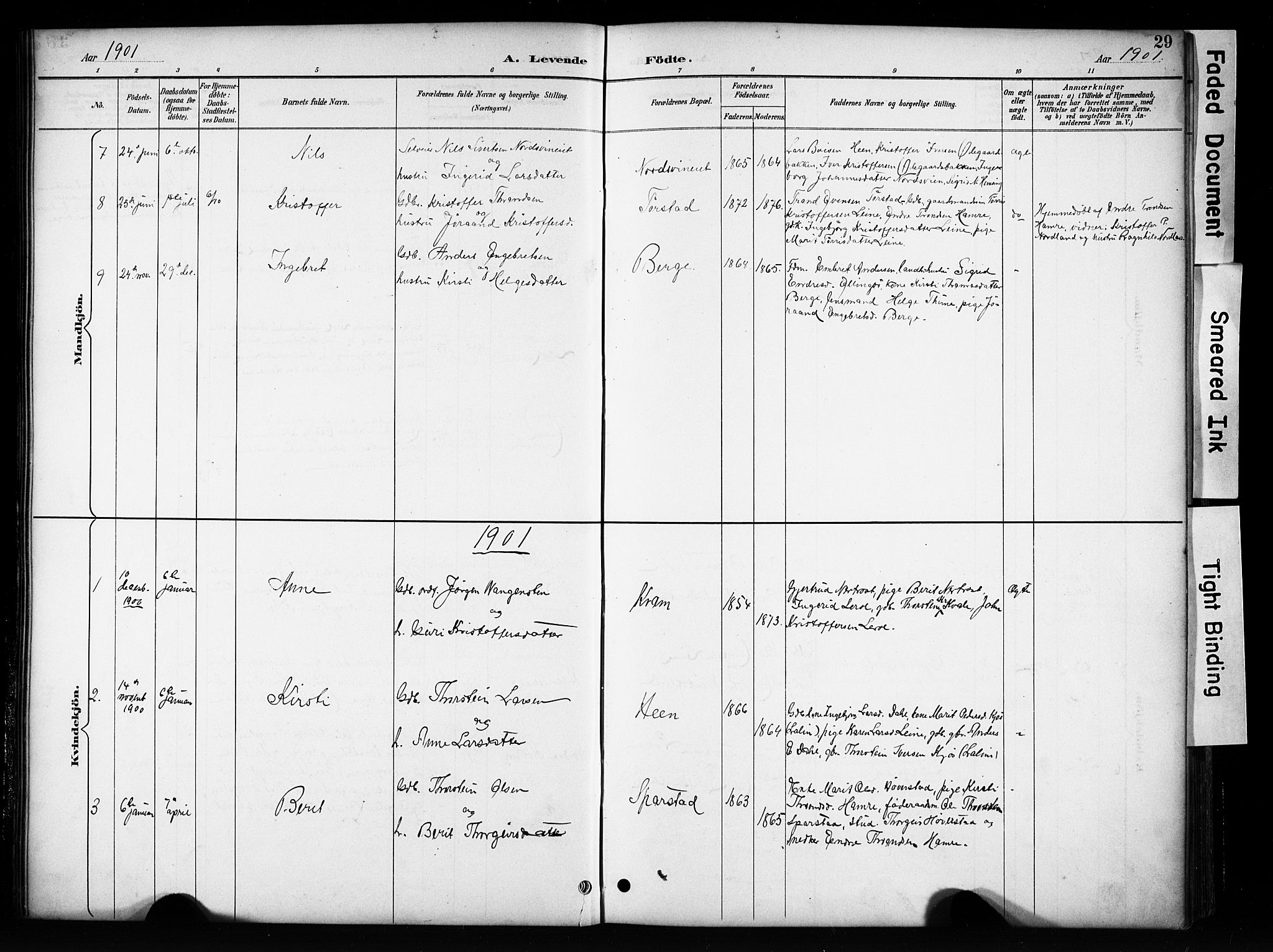 Vang prestekontor, Valdres, SAH/PREST-140/H/Hb/L0006: Parish register (copy) no. 6, 1893-1918, p. 29