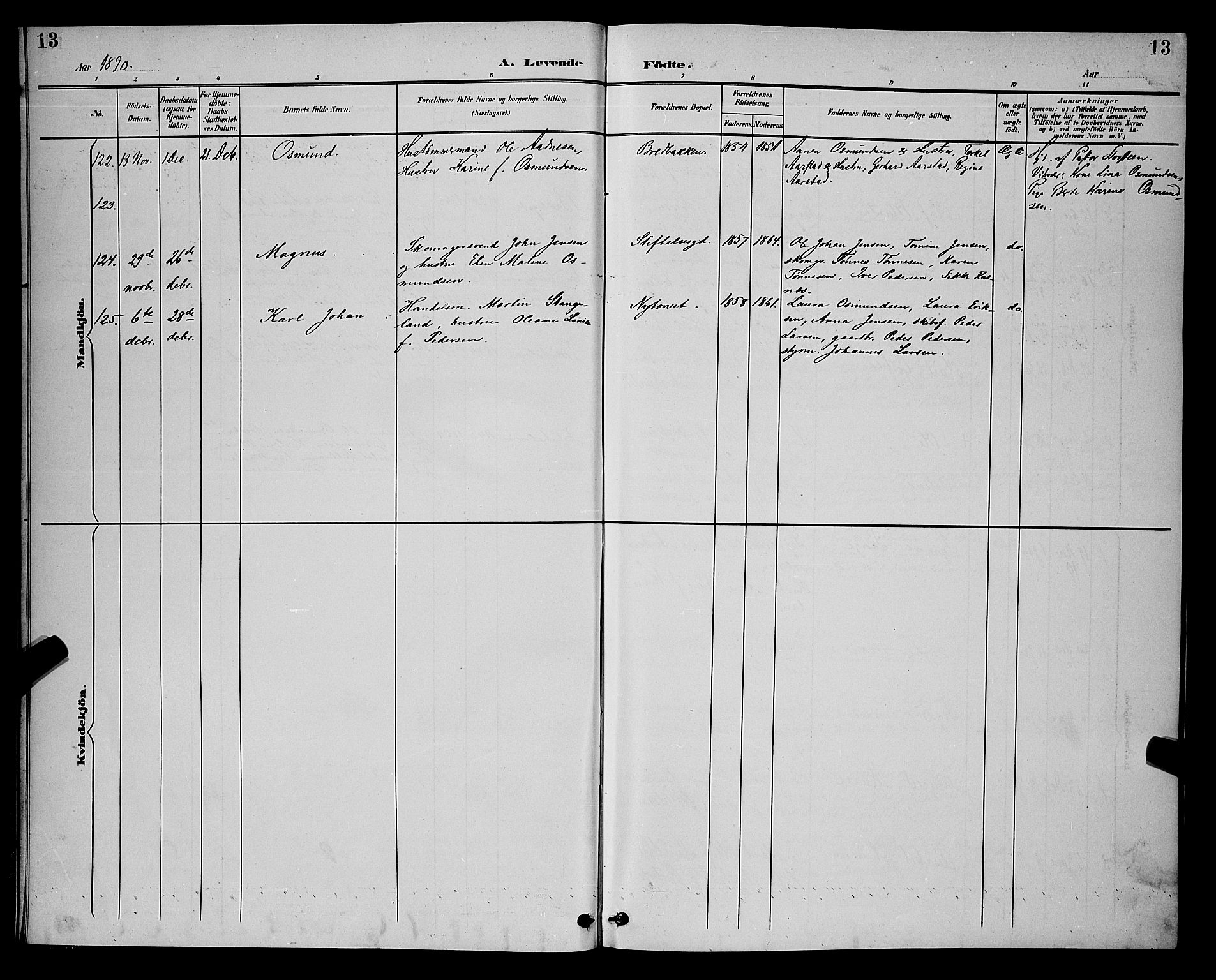 St. Petri sokneprestkontor, AV/SAST-A-101813/001/30/30BB/L0006: Parish register (copy) no. B 6, 1890-1897, p. 13