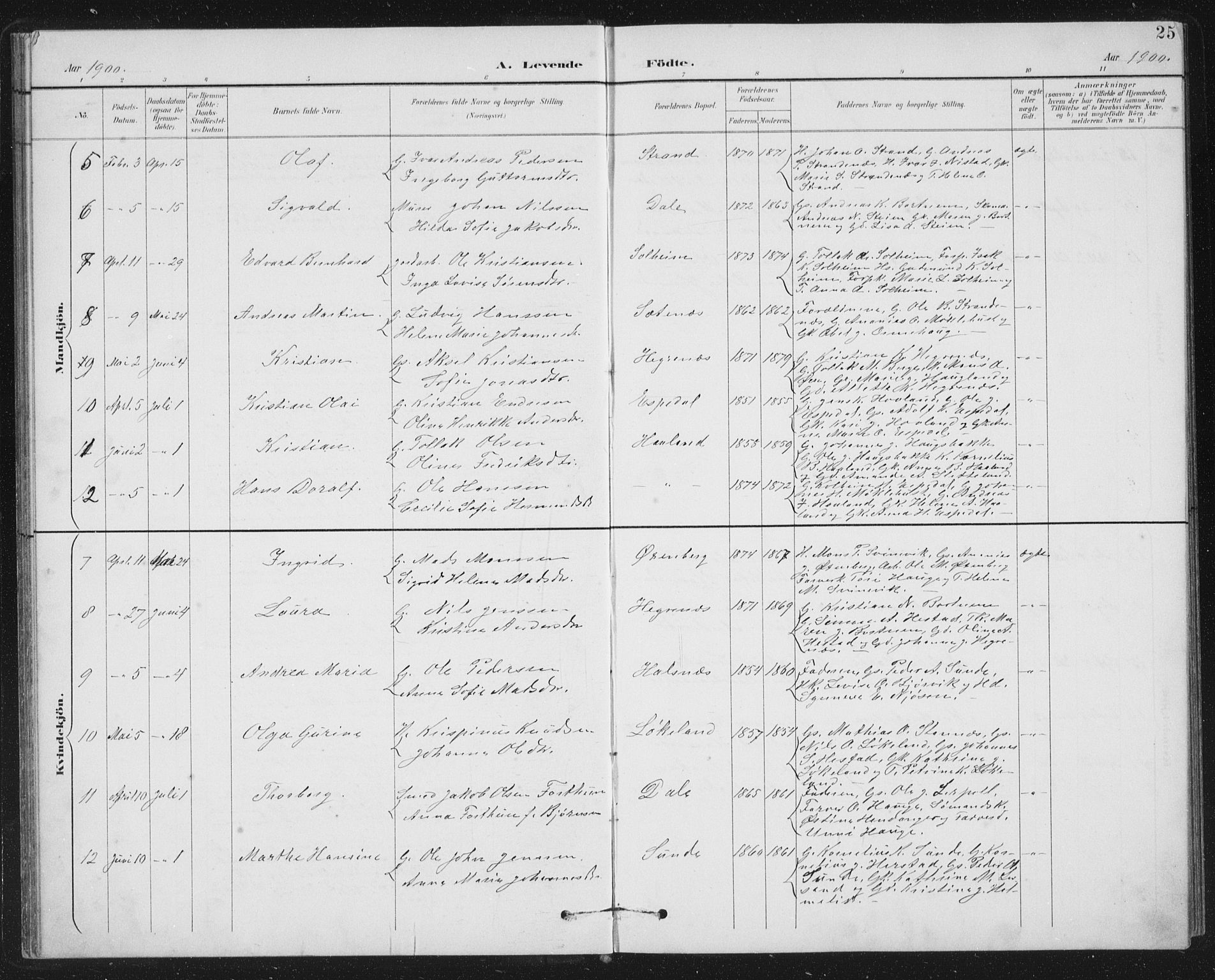 Fjaler sokneprestembete, SAB/A-79801/H/Hab/Habc/L0003: Parish register (copy) no. C 3, 1894-1917, p. 25