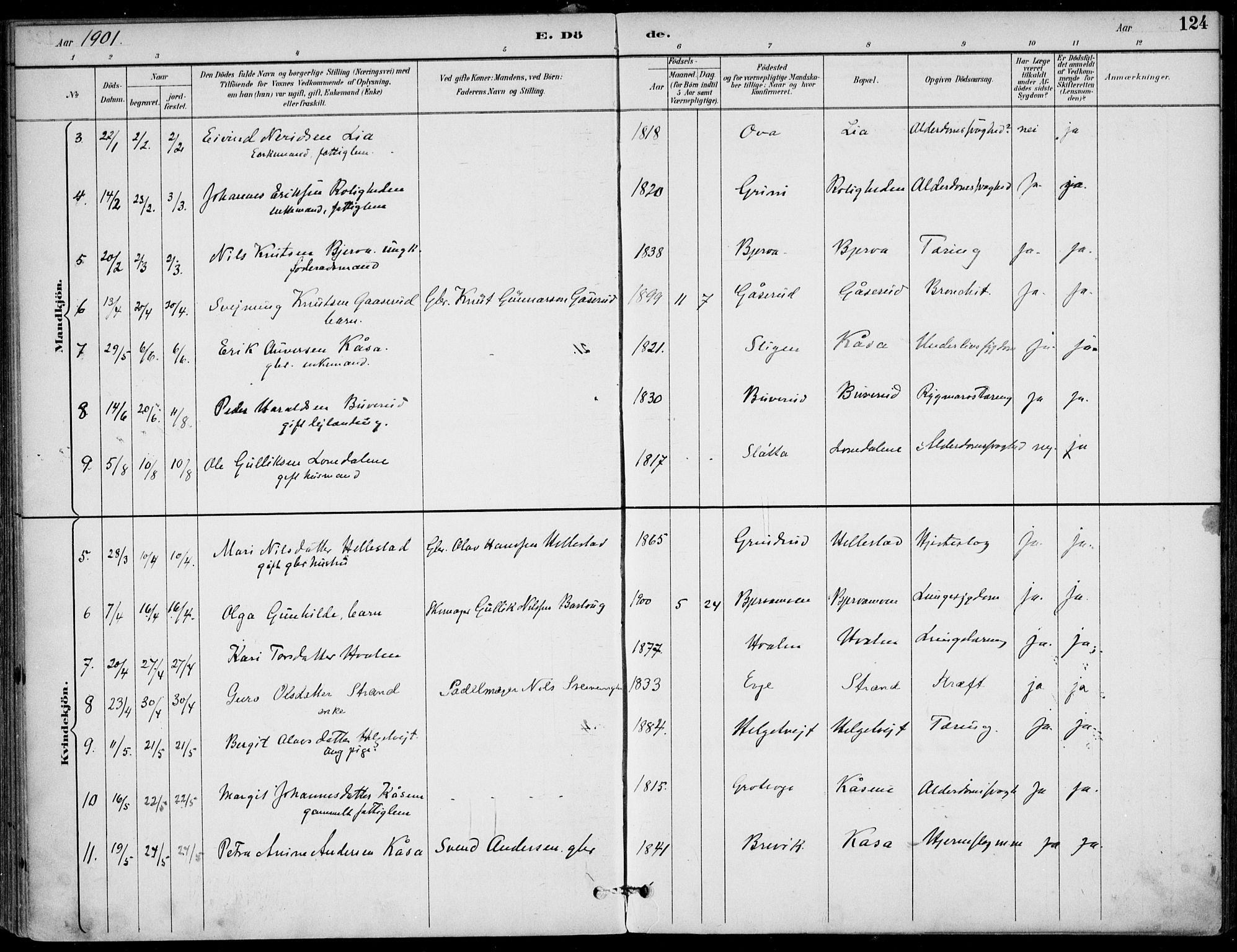 Lunde kirkebøker, AV/SAKO-A-282/F/Fa/L0003: Parish register (official) no. I 3, 1893-1902, p. 124