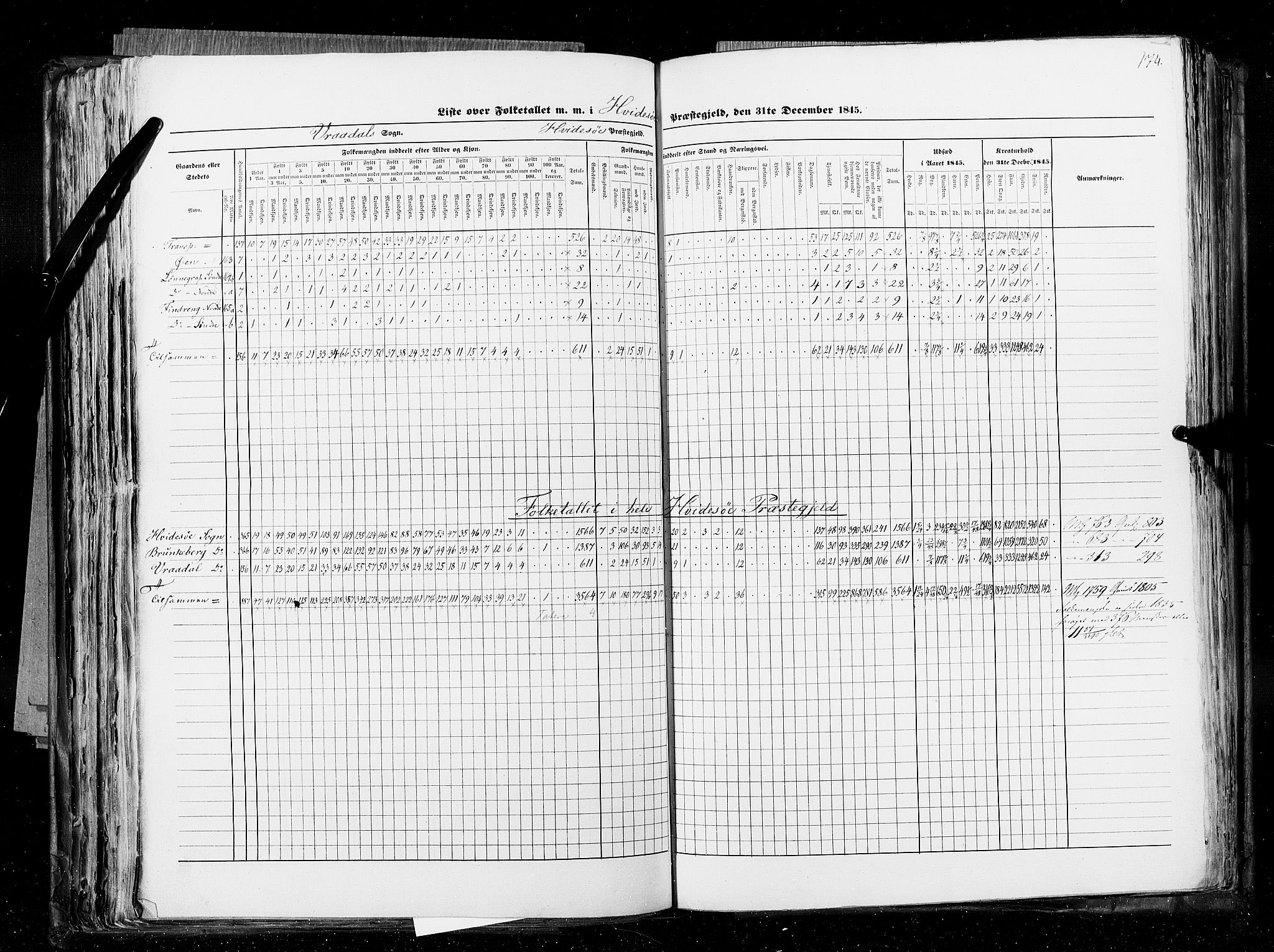 RA, Census 1845, vol. 5: Bratsberg amt og Nedenes og Råbyggelaget amt, 1845, p. 174