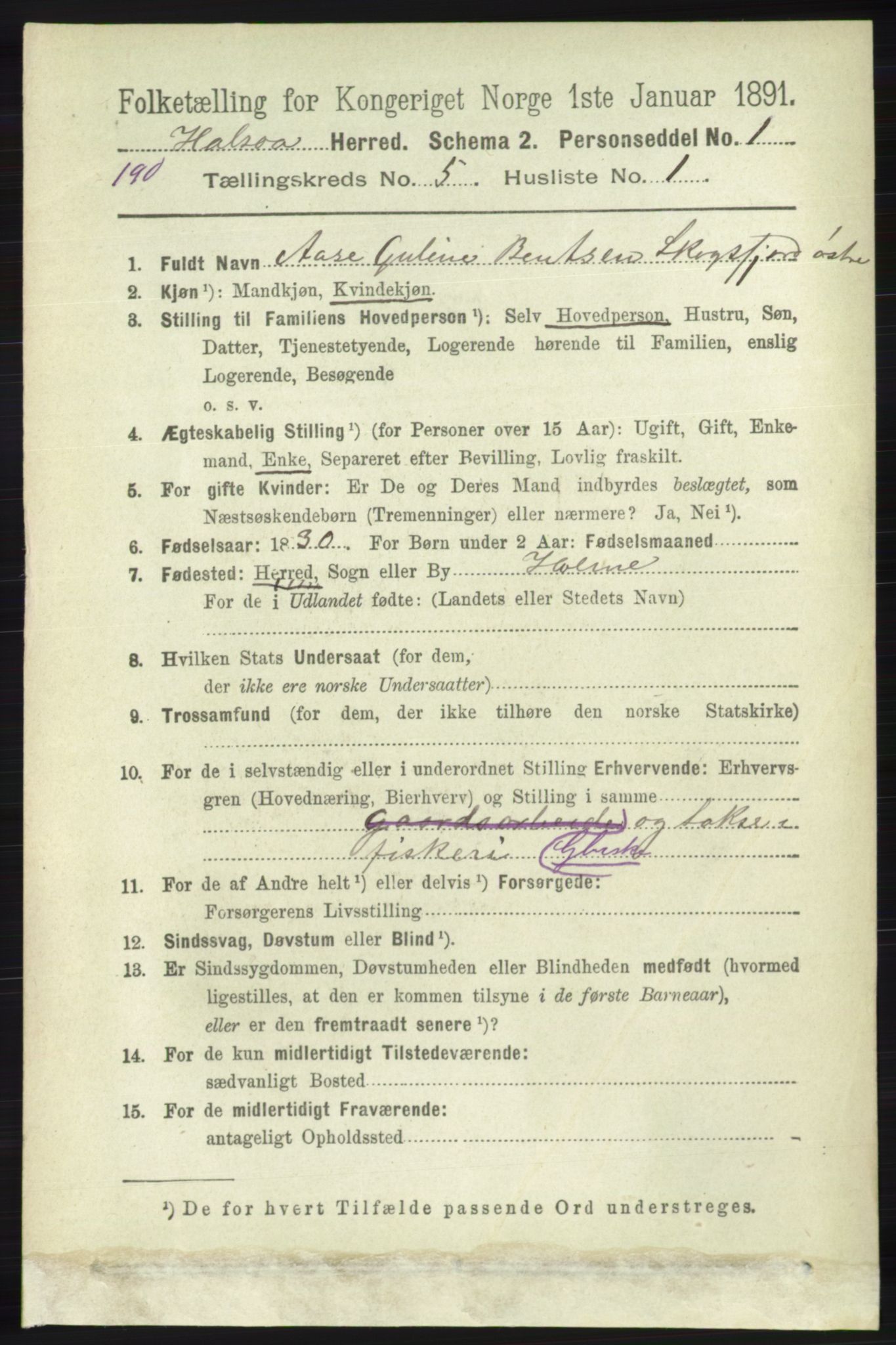 RA, 1891 census for 1019 Halse og Harkmark, 1891, p. 2035